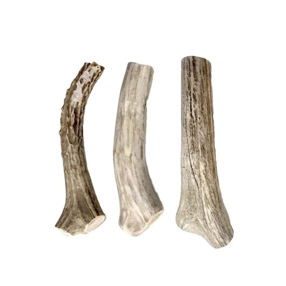 Exceptional Hotspot Pets Small Premium Deer Antler for Dogs 3 Pack – 4–7 Inch Chews USA Sourced For Small Medium Breeds Eco-Friendly