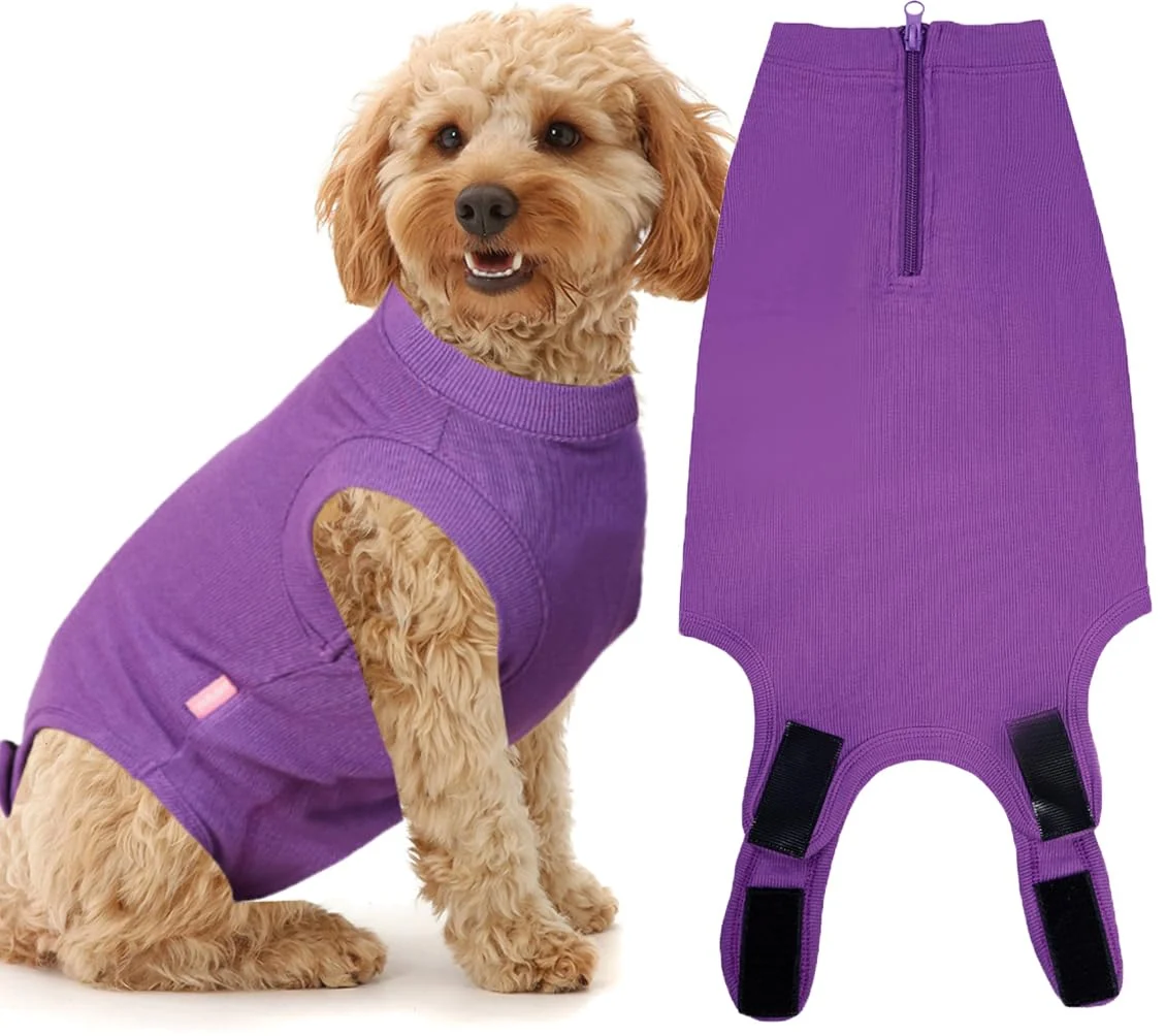 Crafted Wabdhaly Recovery Suit for Dogs — Soft Zipper Cone for Female Spay Responsible