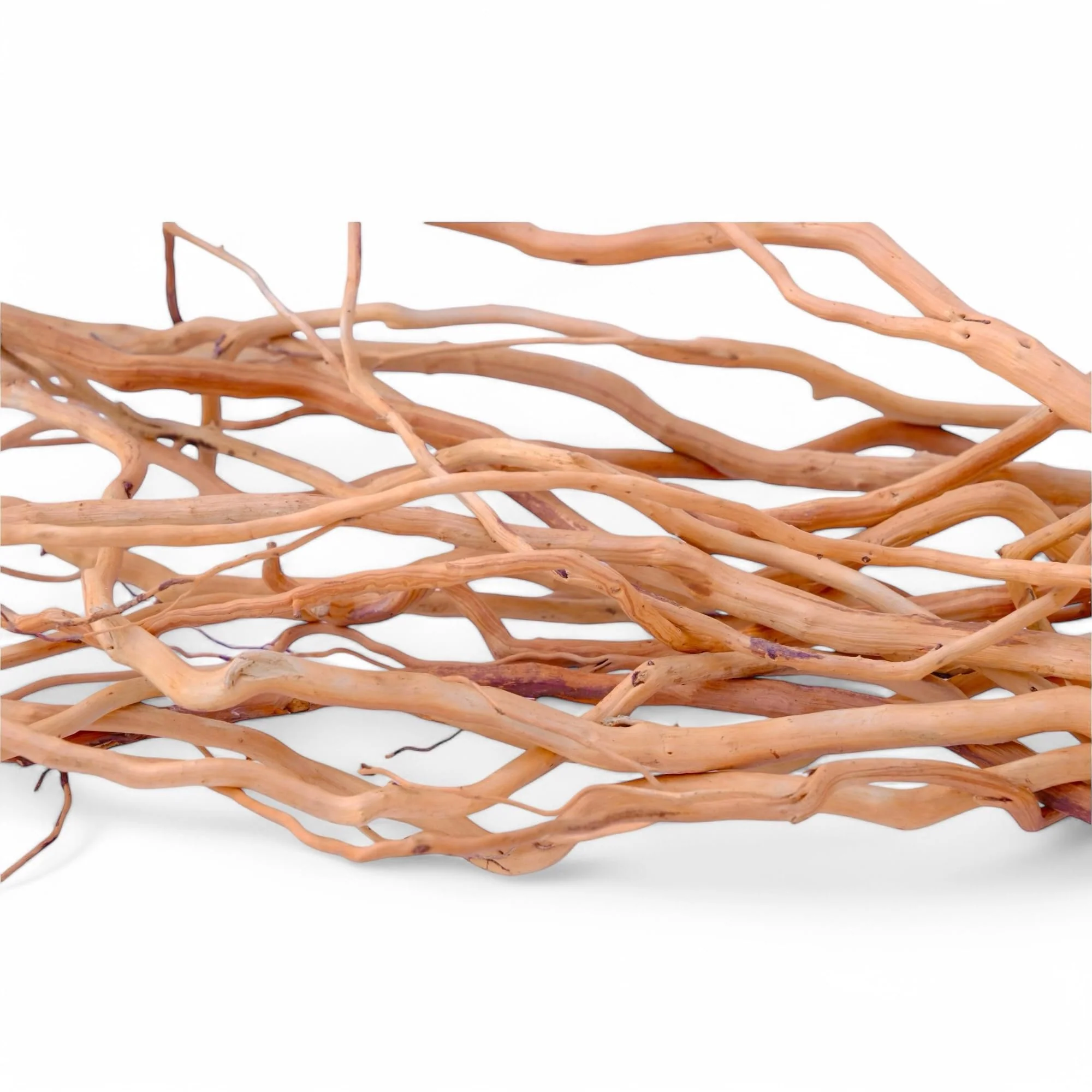 Casual Azil Natural Aquarium Driftwood Root – 170g 14-16in for Aquascaping Planted Tanks Genuine