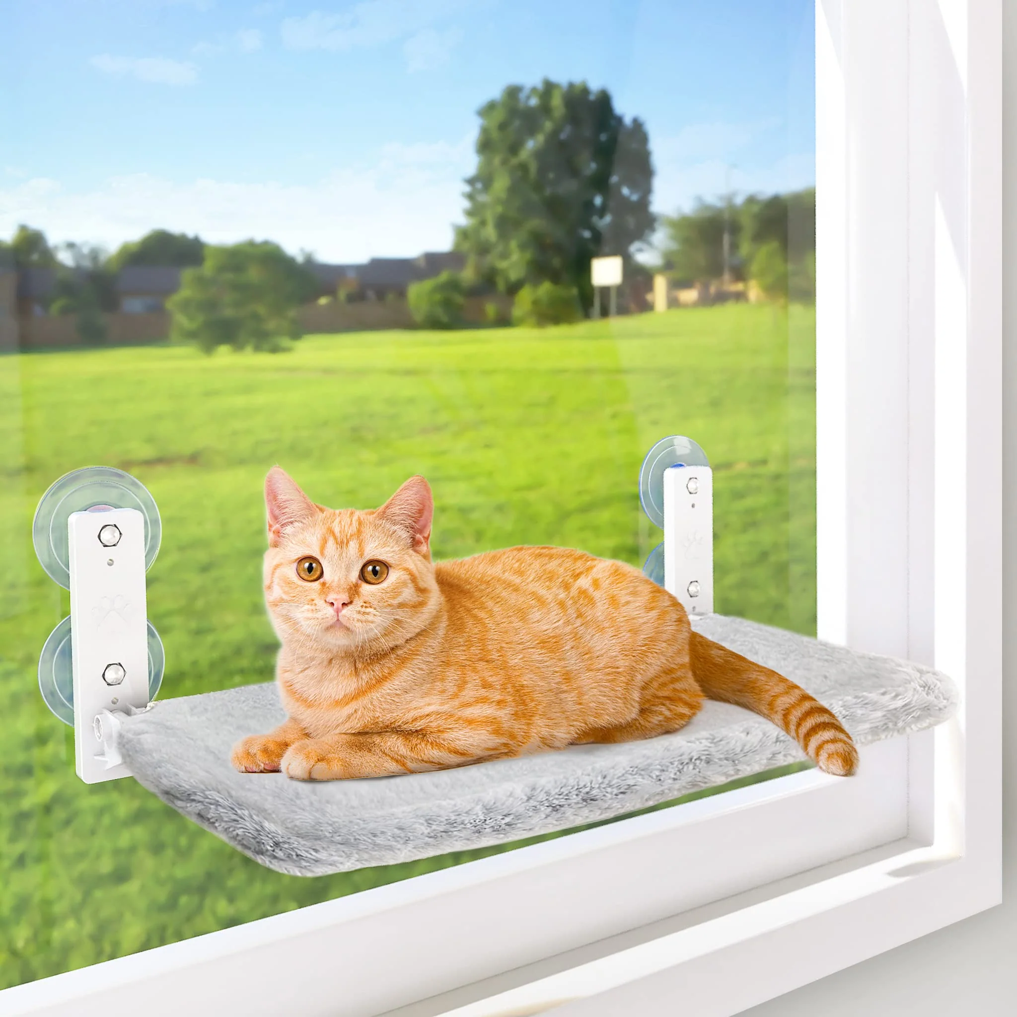Modern AMOSIJOY Cordless Cat Window Perch – Foldable 4 Suction Cups 2 Mounting Options First-Class