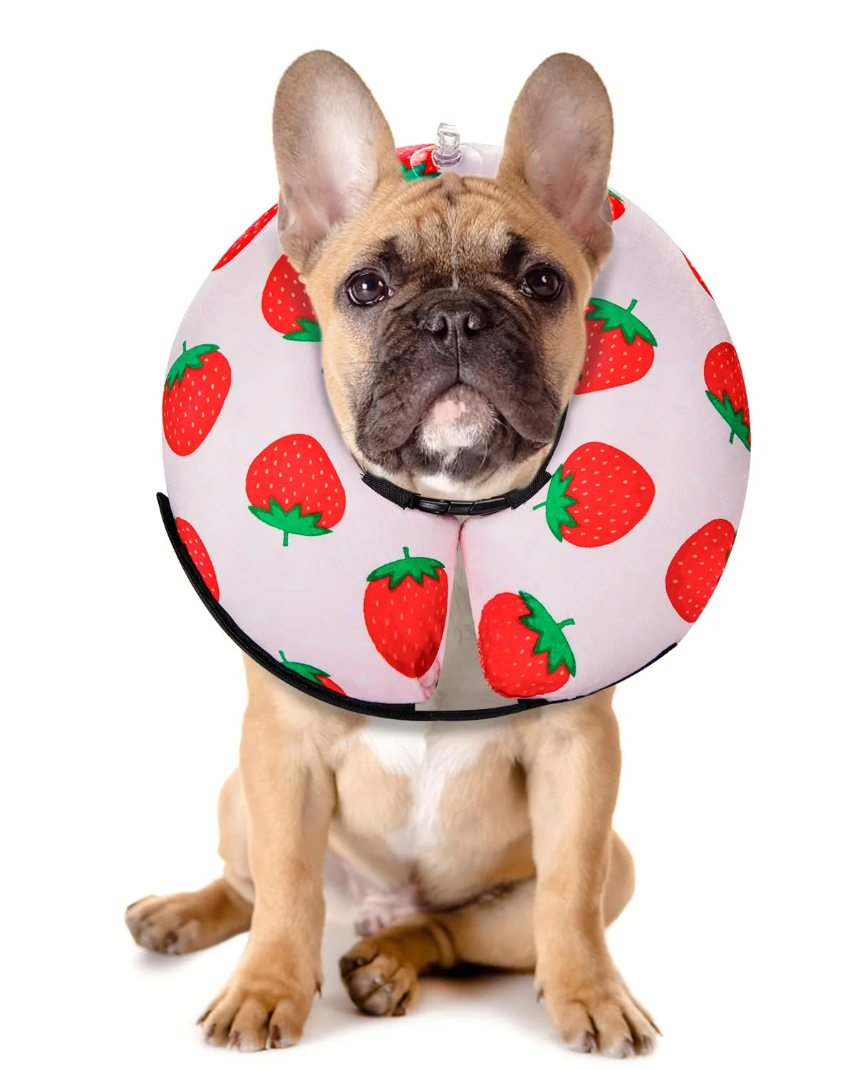 Elegant MIDOG Inflatable Donut Cone for Dogs – Soft E-Collar Strawberry S Premium