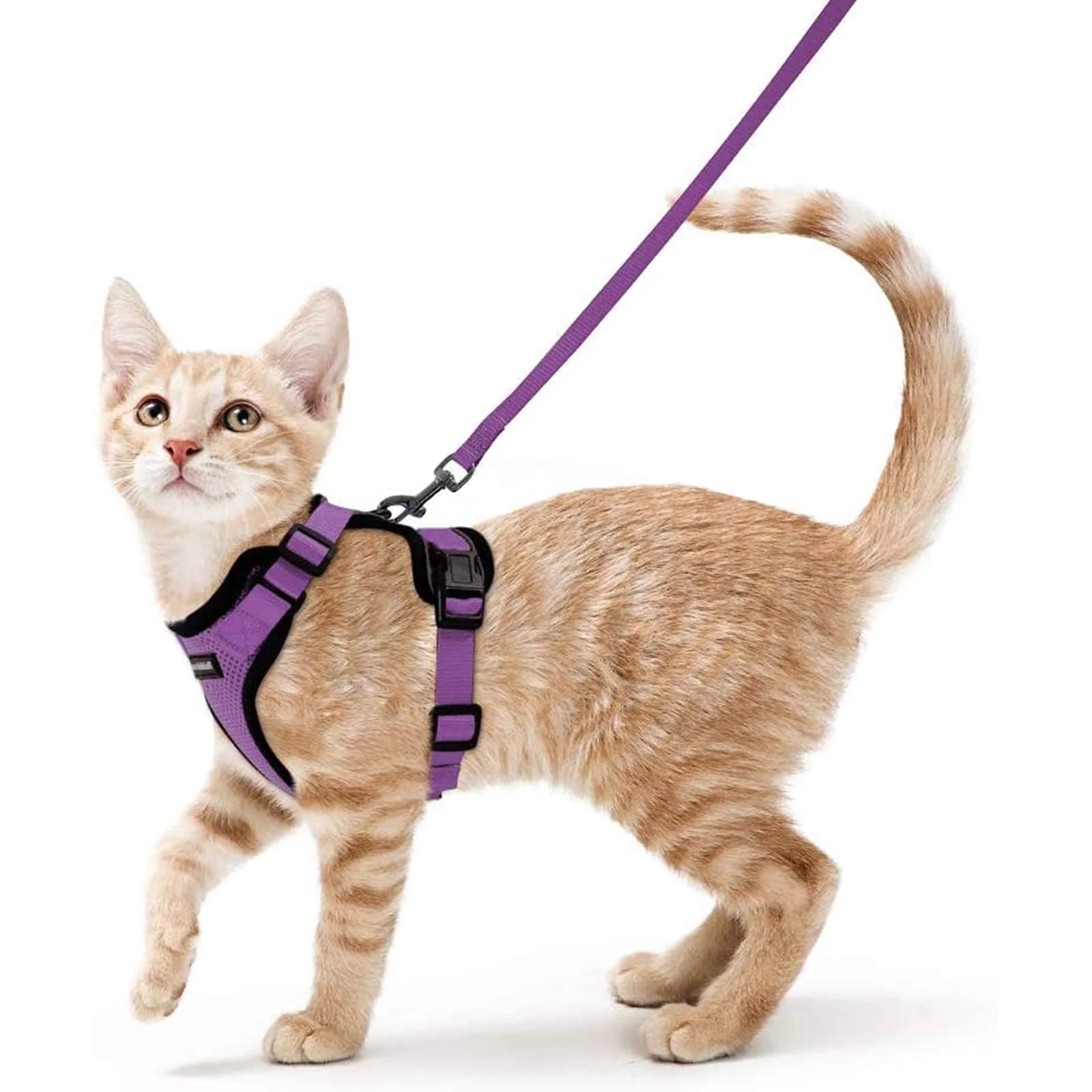 Lightweight Rabbitgoo Cat Harness Leash – Escape-Proof Vest Harness Breathable Reflective Purple XS Eco-Friendly