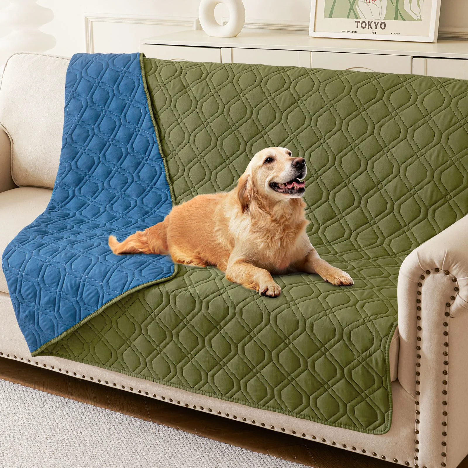 World-Class hyha Waterproof Dog Bed Blanket – Dual-Sided Reversible Sofa Cover 52×82 in Green Navy Blue Comfortable