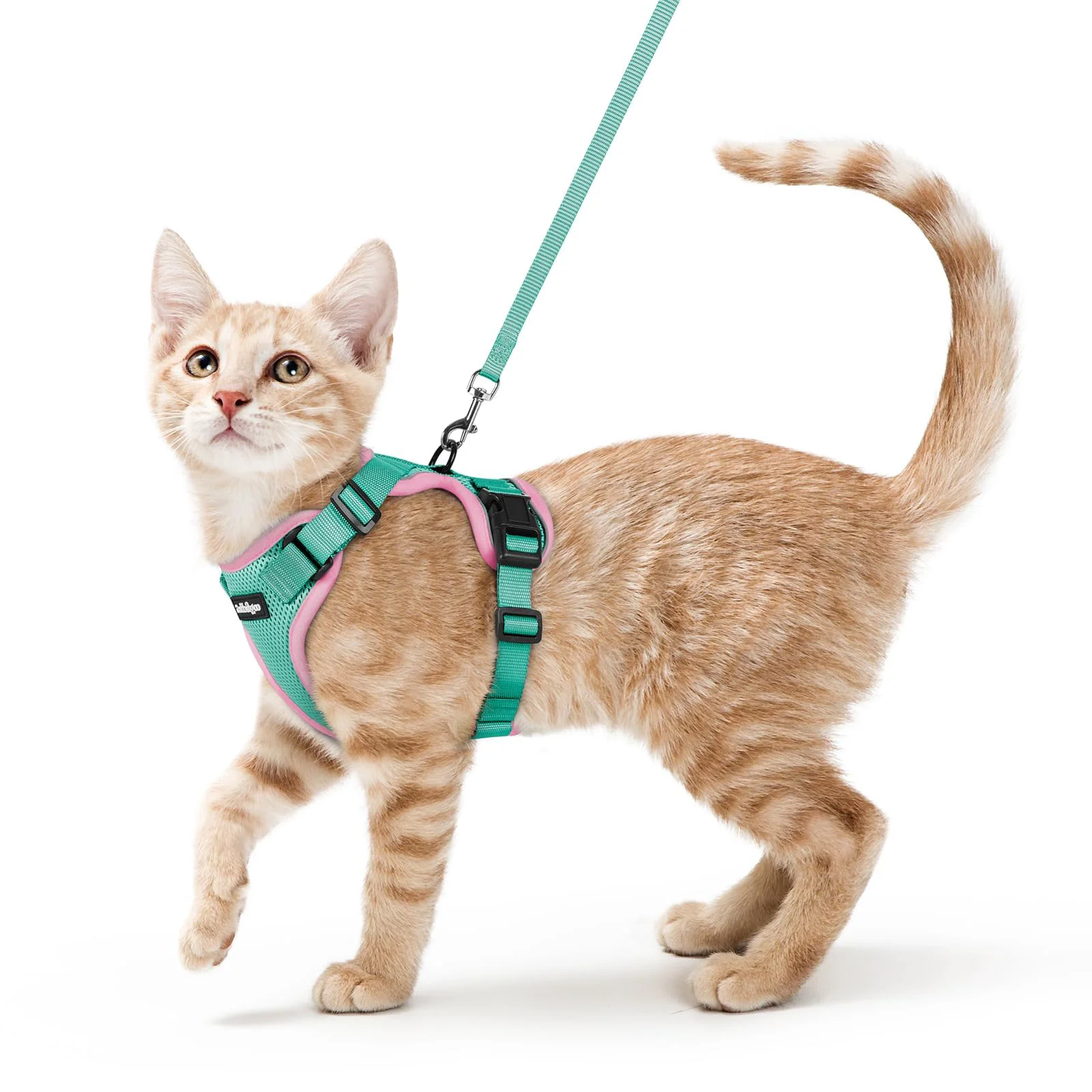 Healthy rabbitgoo Cat Harness and Leash for Walking – Escape-Proof Soft Adjustable Vest Harness XS Green Pink High-End