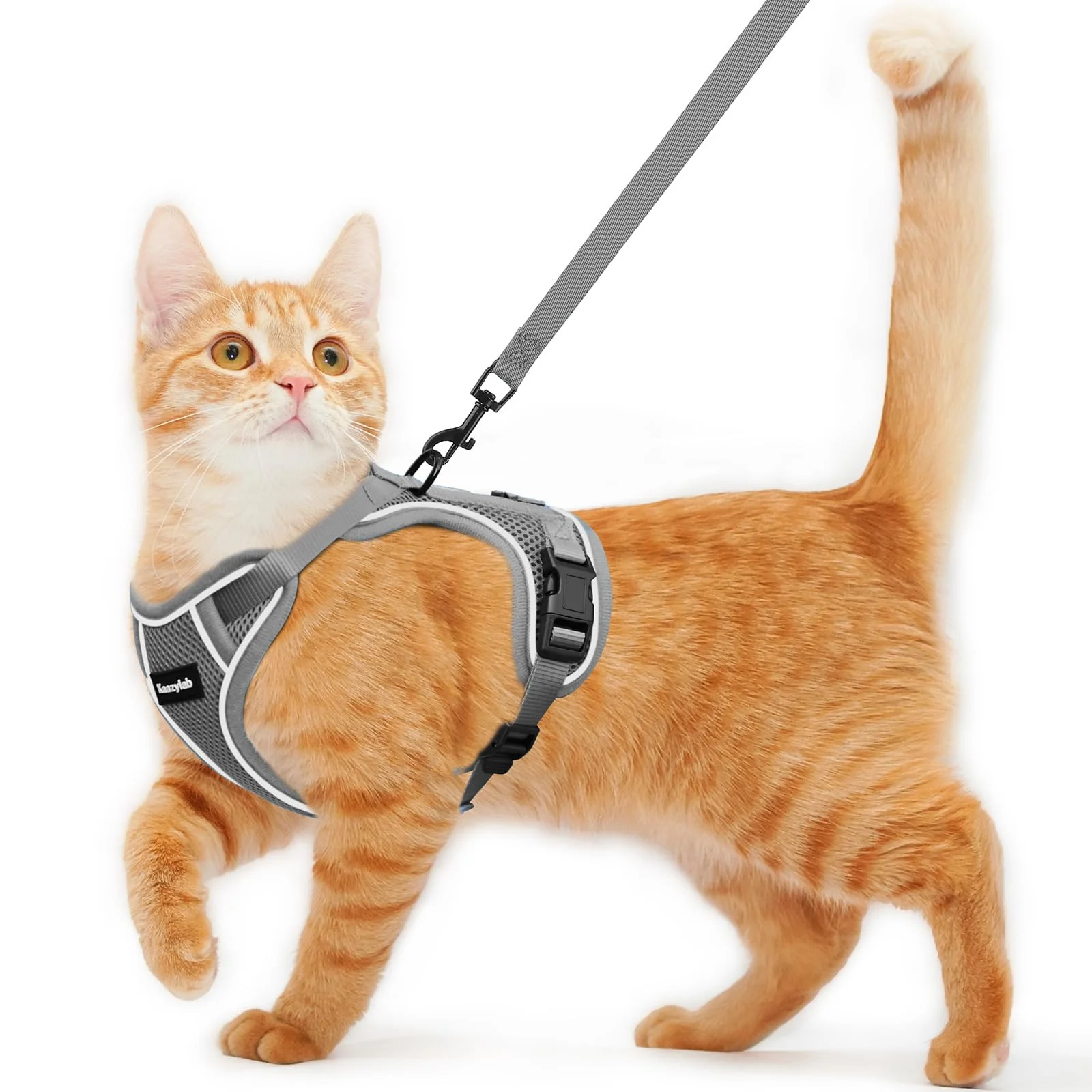 Minimalist Kaazylab Cat Harness Leash — Escape-Proof Soft Adjustable Vest Grey XS Fashionable