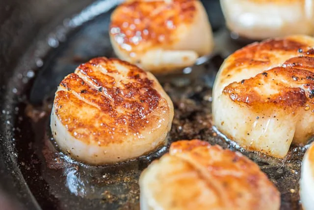 Functional Coquilles Saint-Jacques de la côte Est High-Performance
