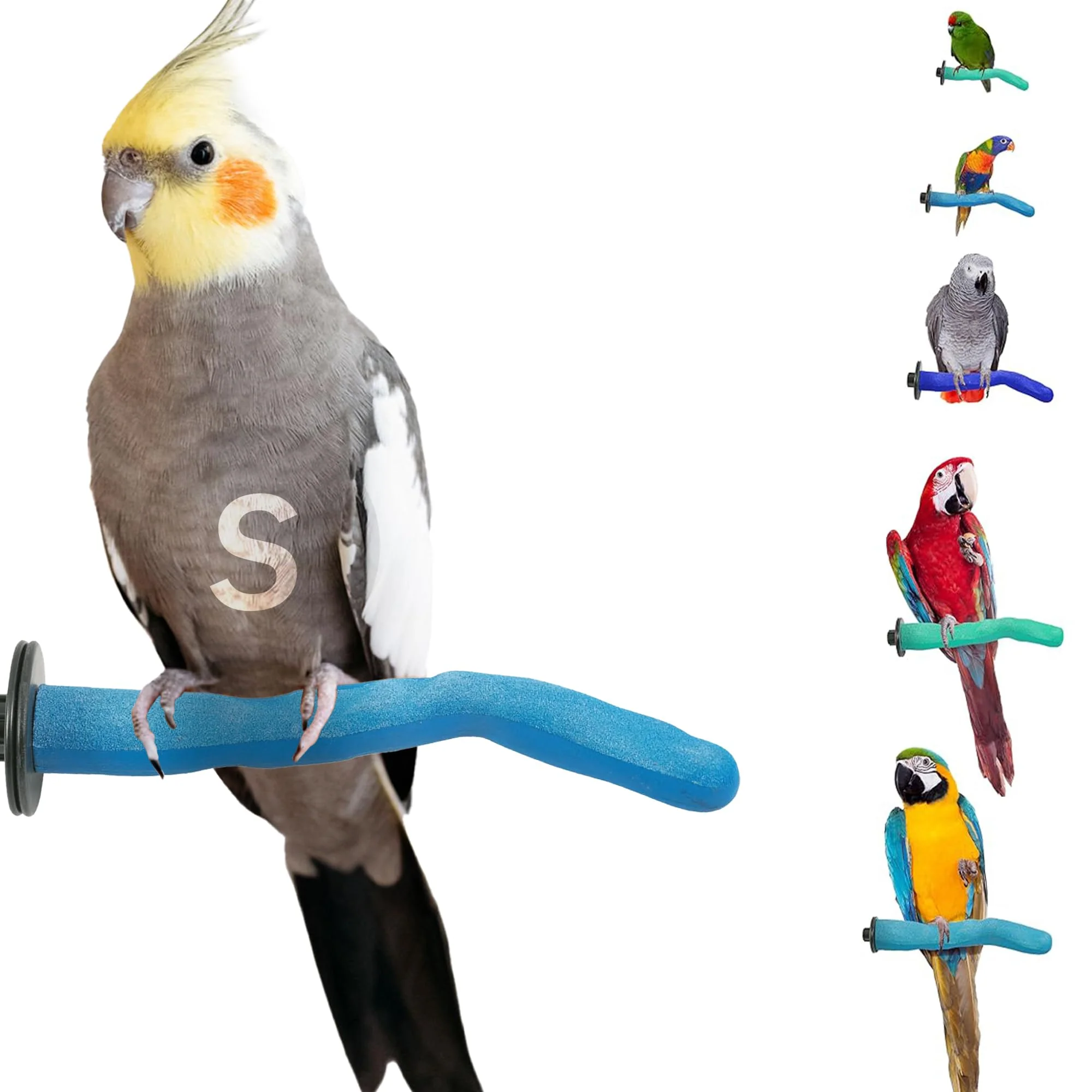Minimalist Sweet Feet Beak Safety Pumice Perch — Gentle Nail Beak Grooming for Birds 8-inch Selected