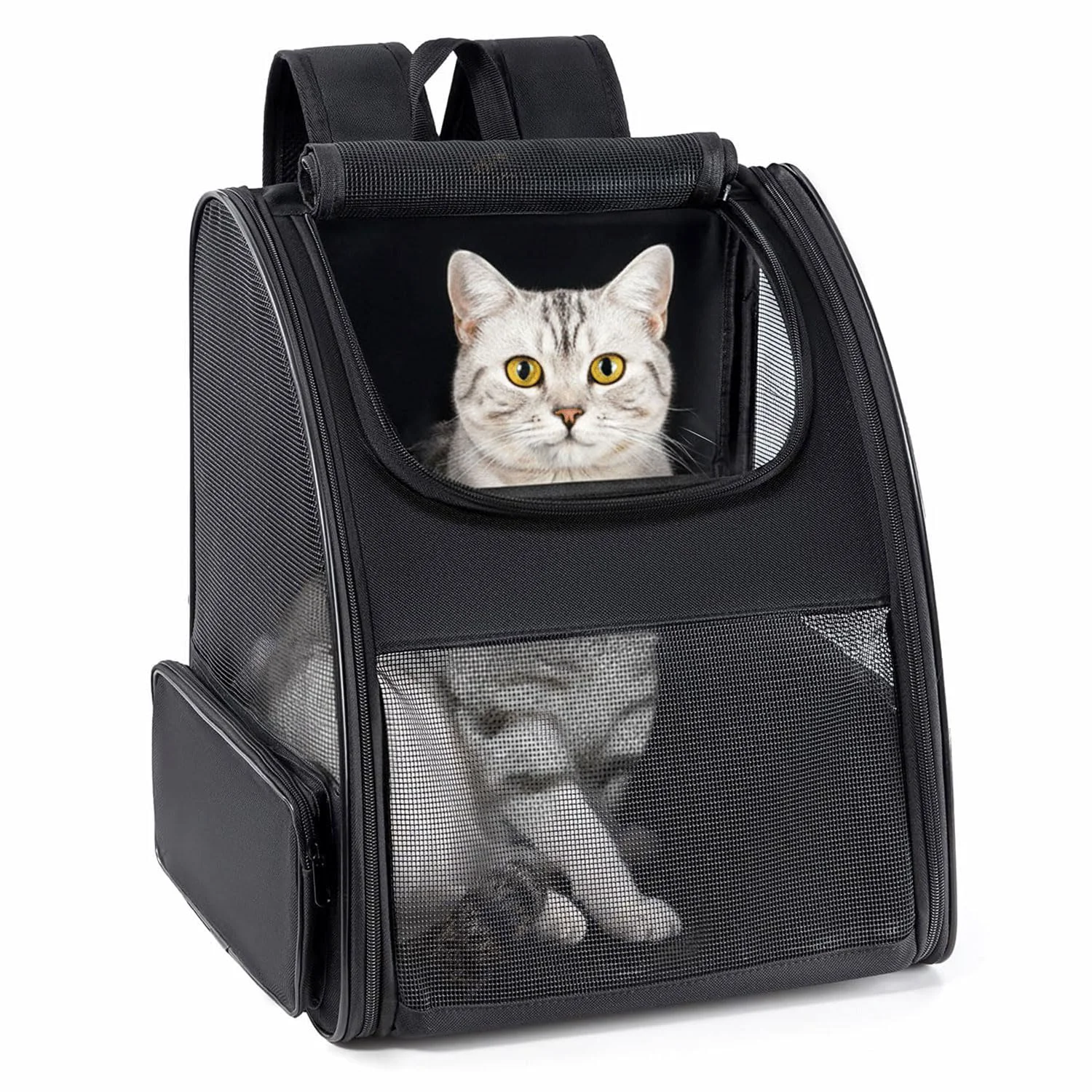 Contemporary Conlun Cat Backpack Carrier for Small Pets Up to 15 lbs – Expandable Foldable Travel Carrier Modern
