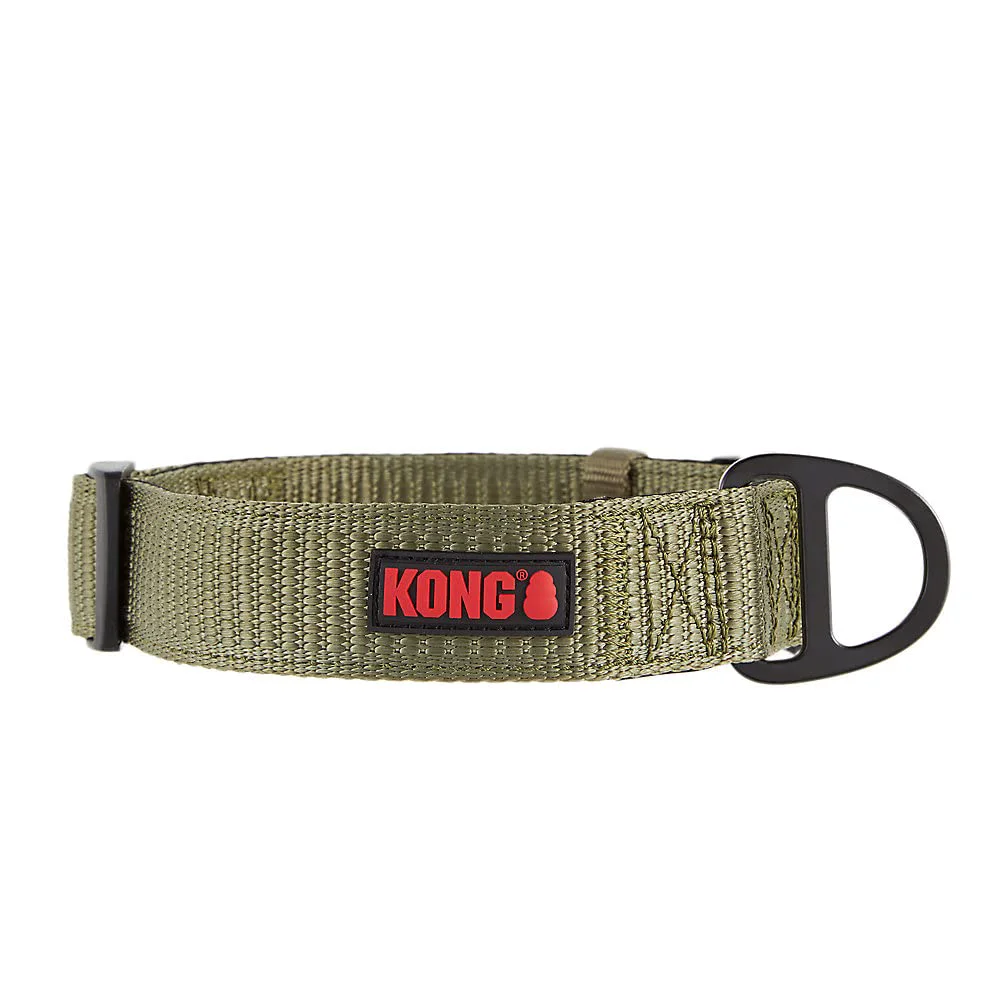 Trusted KONG Max HD Ultra Durable Neoprene Padded Dog Collar – Small Green Exceptional
