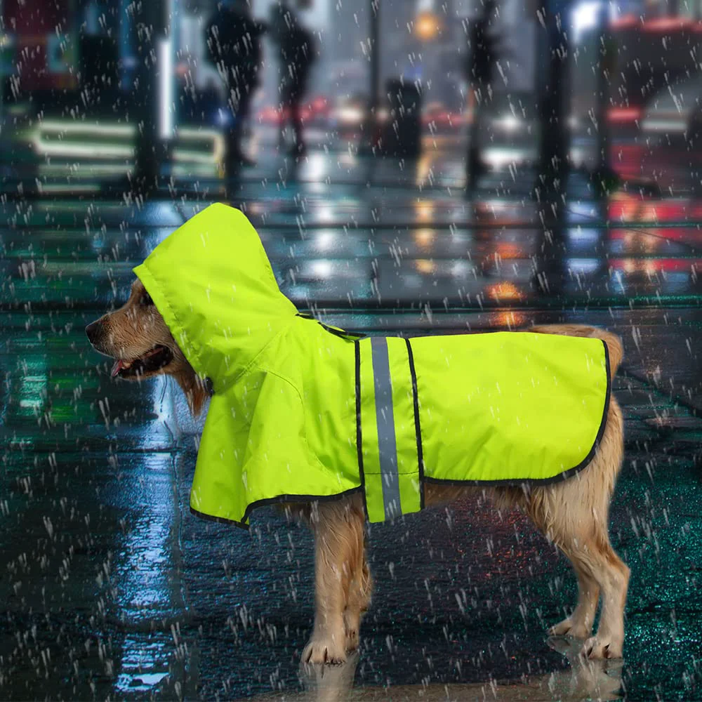 Expertly Made Candofly Dog Raincoat – Waterproof Lightweight Reflective Poncho with Leash Hole Medium Green Reliable