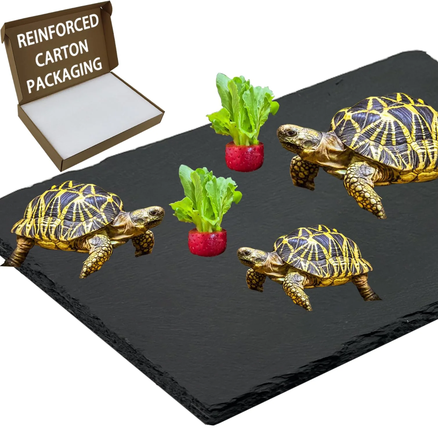 Enhanced INOSCIND Extra Large Reptile Slate Basking Platform – 15.8 × 11.8 in Slate Tiles Excellent