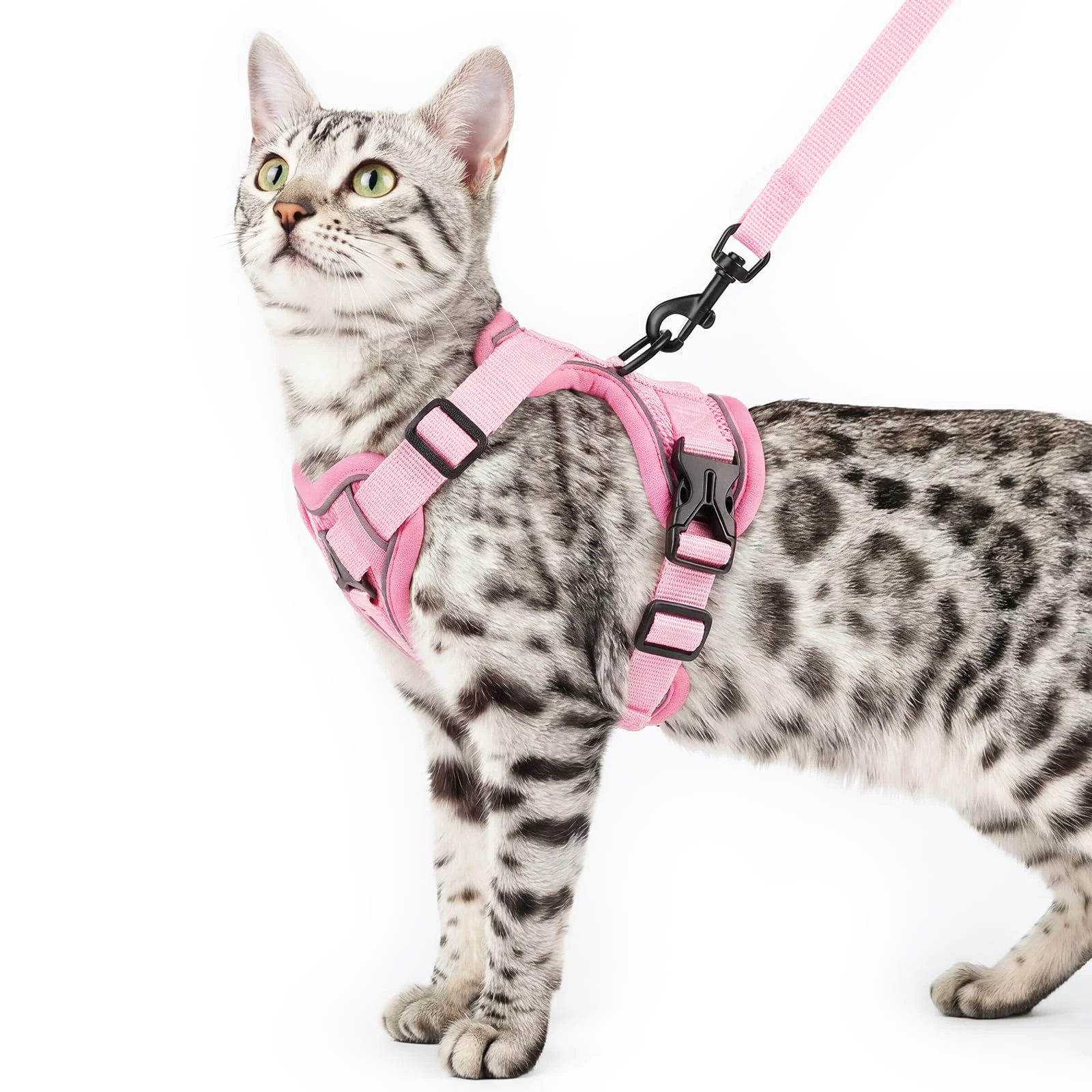 Convenient pangdi Cat Harness and Leash Set – Escape-Proof Tactical Vest for Large Kitten Pink L Elite
