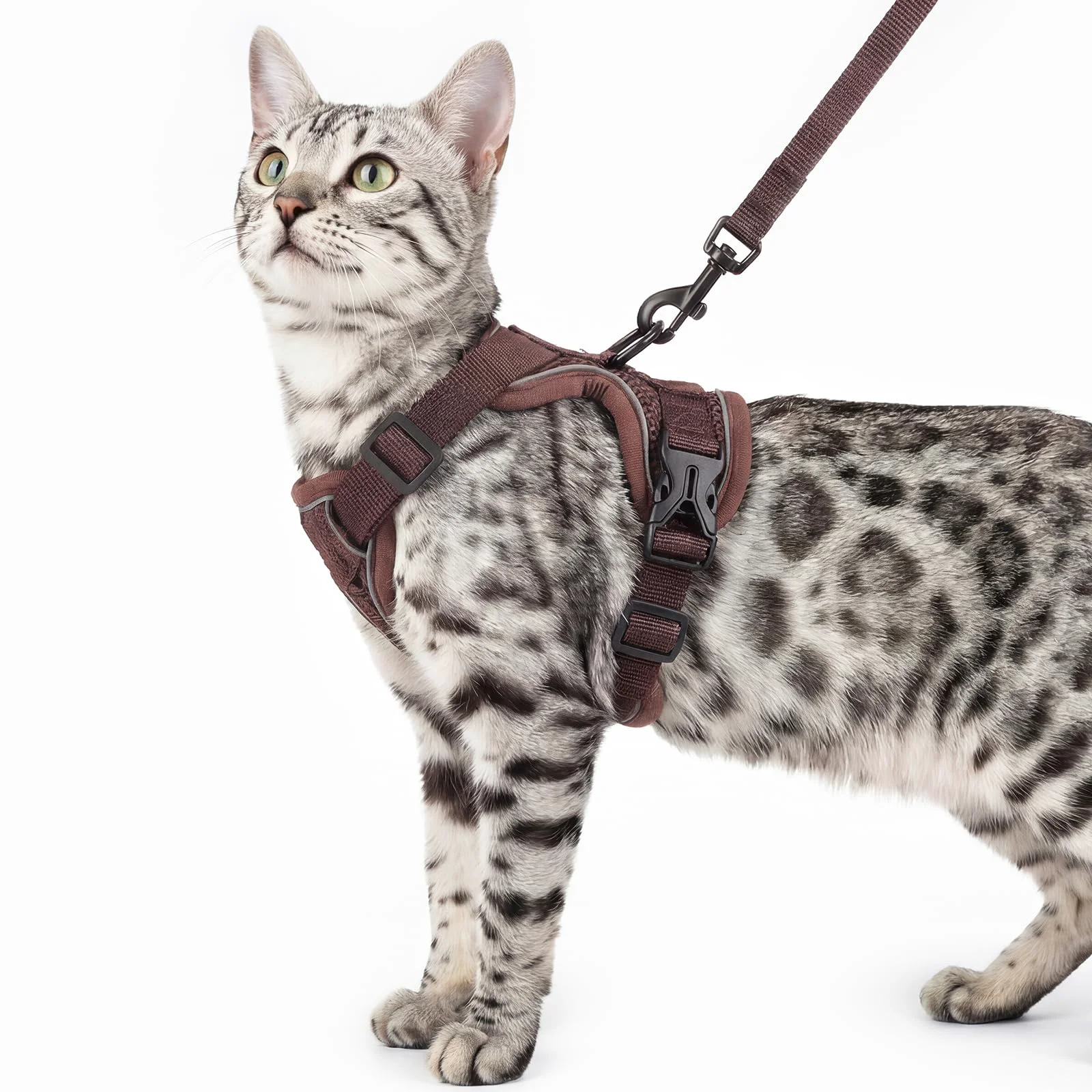 Advanced pangdi Cat Harness Leash Set – Escape-Proof Tactical Vest for Large Kitten Brown L Professional