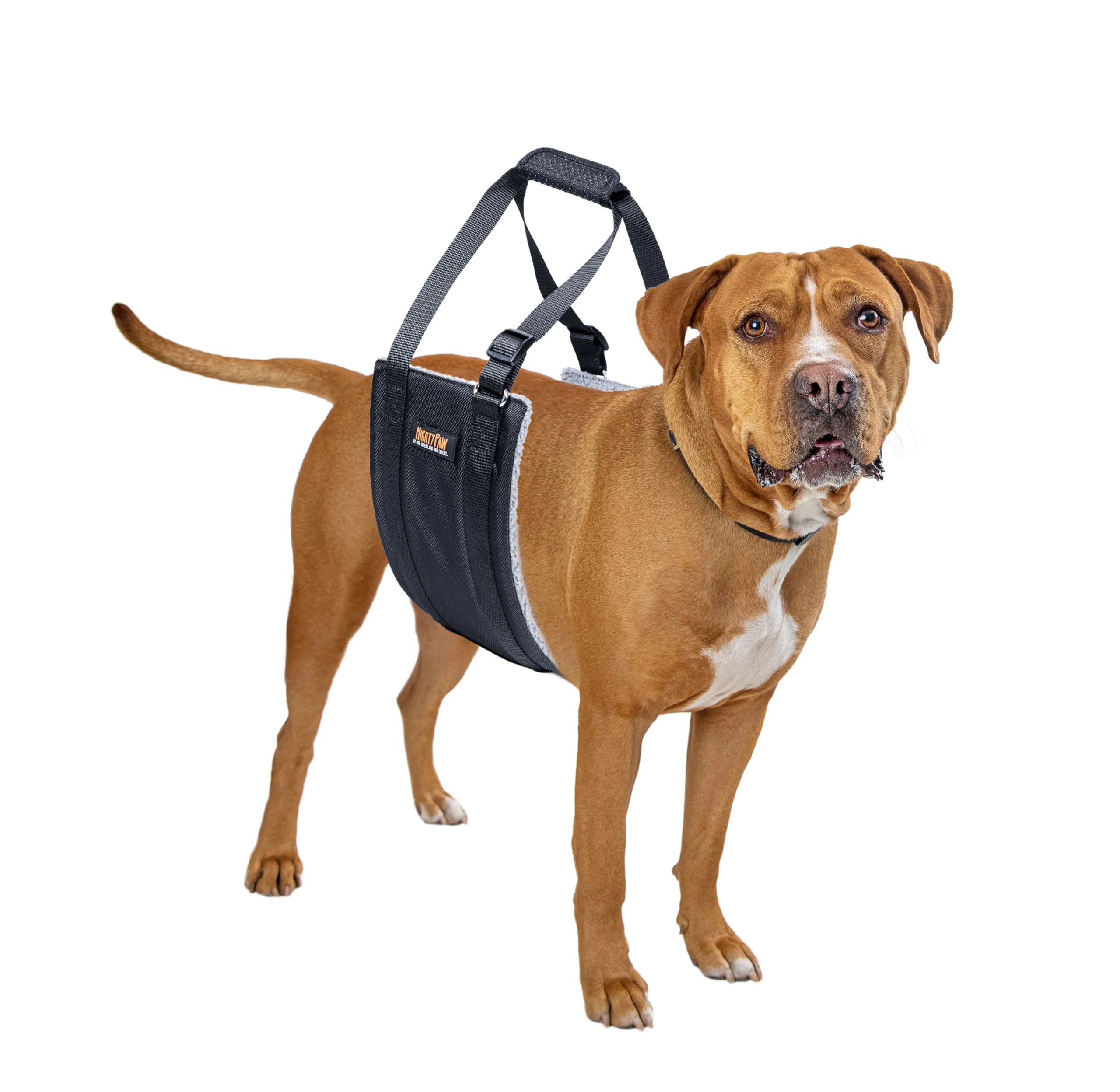 Green Mighty Paw Dog Lift Harness – 20-60 lb Hind Leg Support Sling Medium Luxury