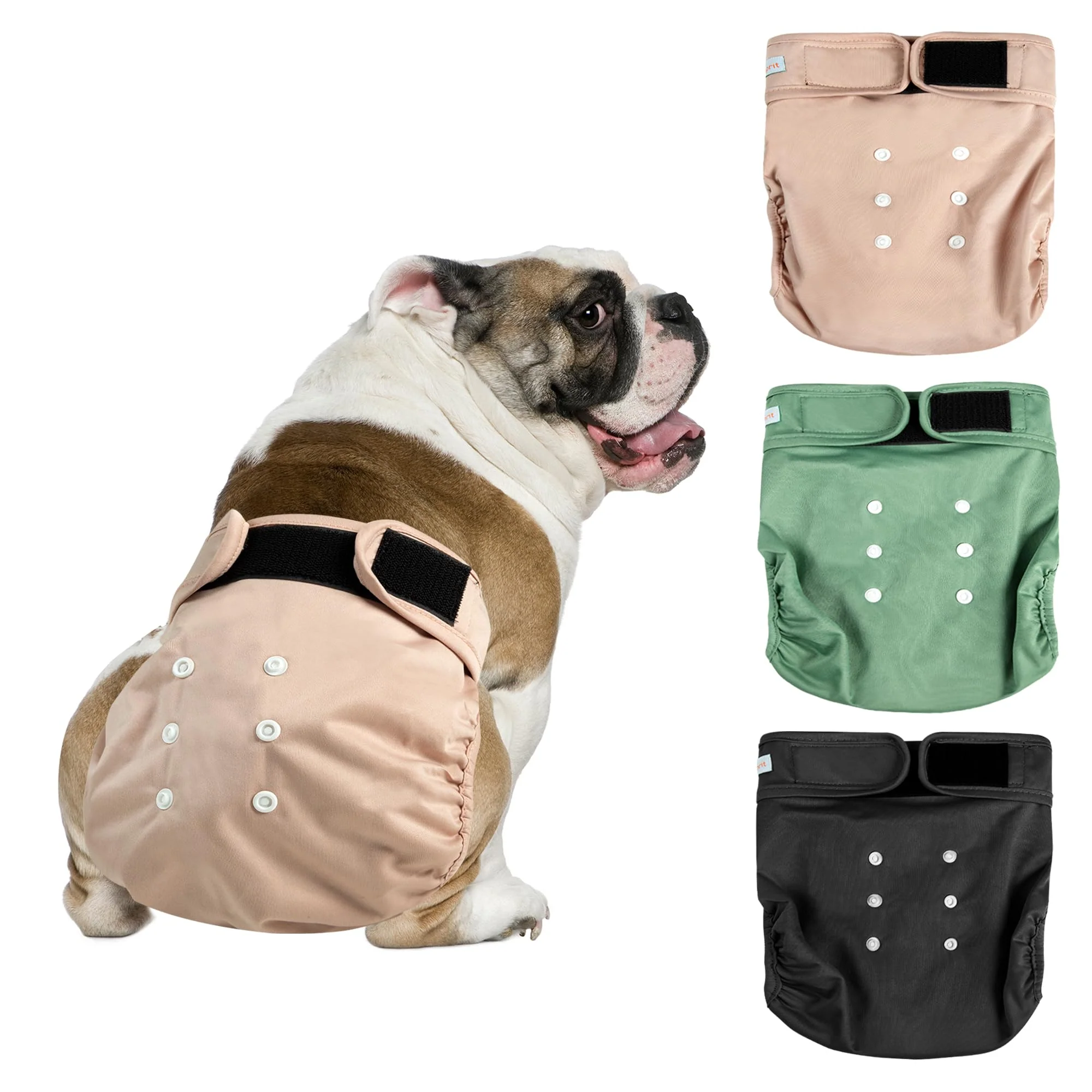 Refined Langsprit Frenchie Female Dog Diapers No Tail Hole – Reusable Washable Large Artisan