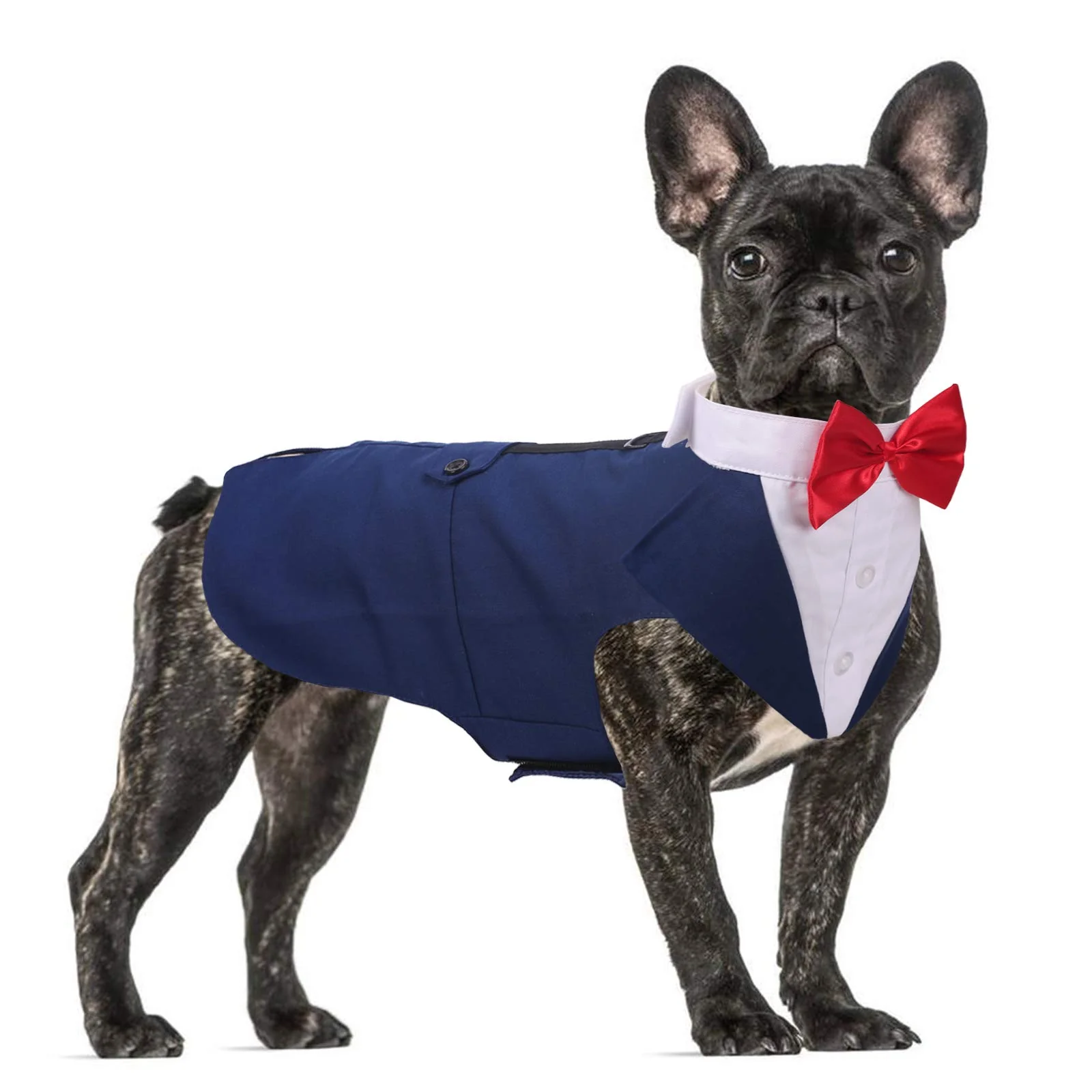 Superior QBLEEV Tuxedo for Medium Dogs – Blue M Formal Bow Tie Bandana Set World-Class