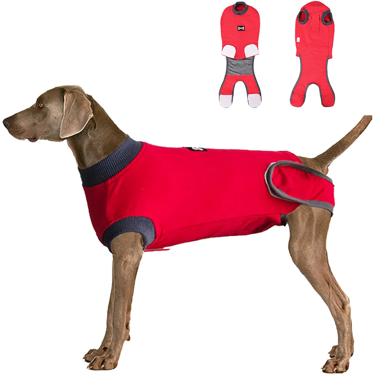 Organic ETIAL Red L Dog Recovery Suit – Post-Surgery Cone for Dogs Versatile