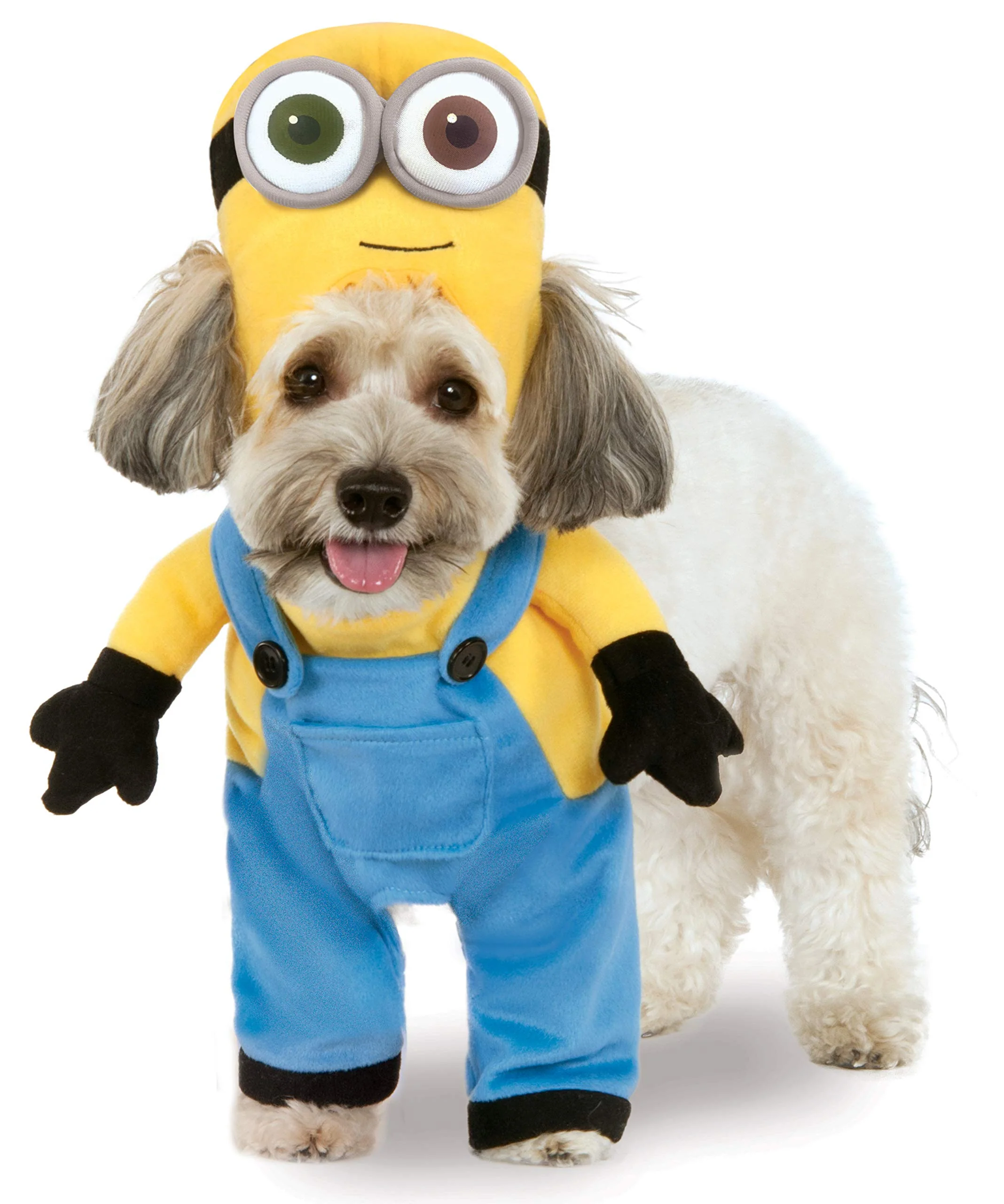 Modern Despicable Me Minion Bob Pet Costume by Rubies — Medium Dogs Cats Certified