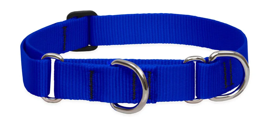 Comfortable LupinePet Basics 1in Blue Martingale Collar 19-27in for Large Dogs Genuine