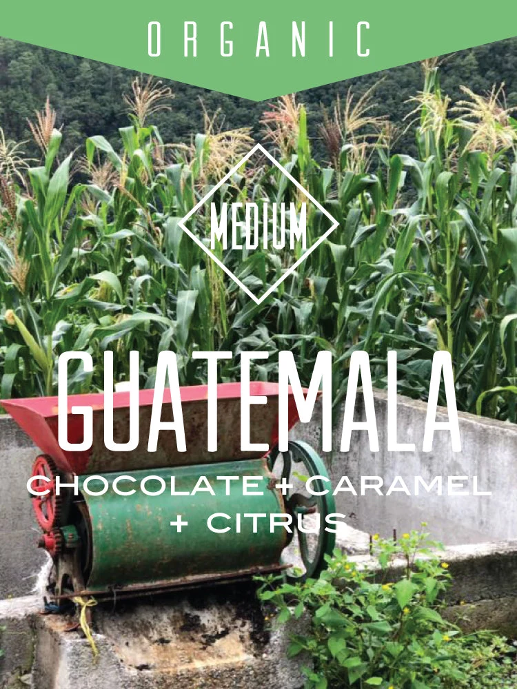 Premium Material Guatemala Huehuetenango biologique Convenient