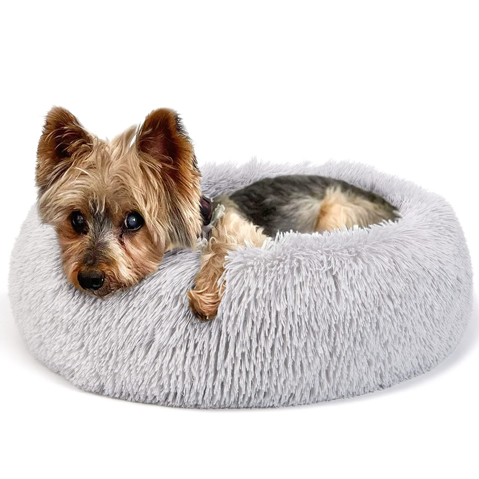 Relaxed wrk Extra Small Donut Dog Bed – 19in Round Washable Grey Bed for Small Dogs Secure