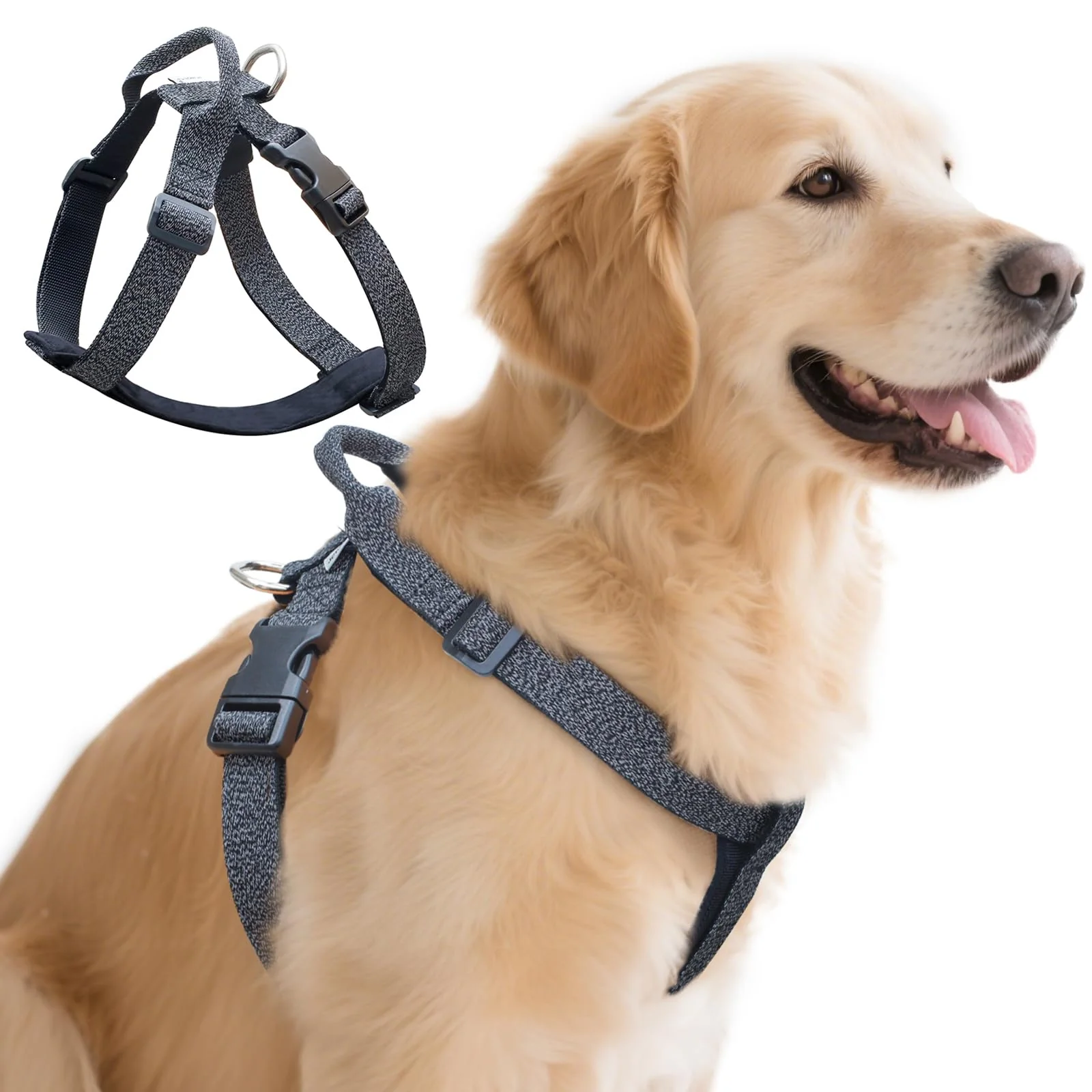 Comfortable JC HOUSE Galaxy Reflective Dog Harness – Adjustable 4-Point Fit Velvet Chest Emergency Handle Black L Safe