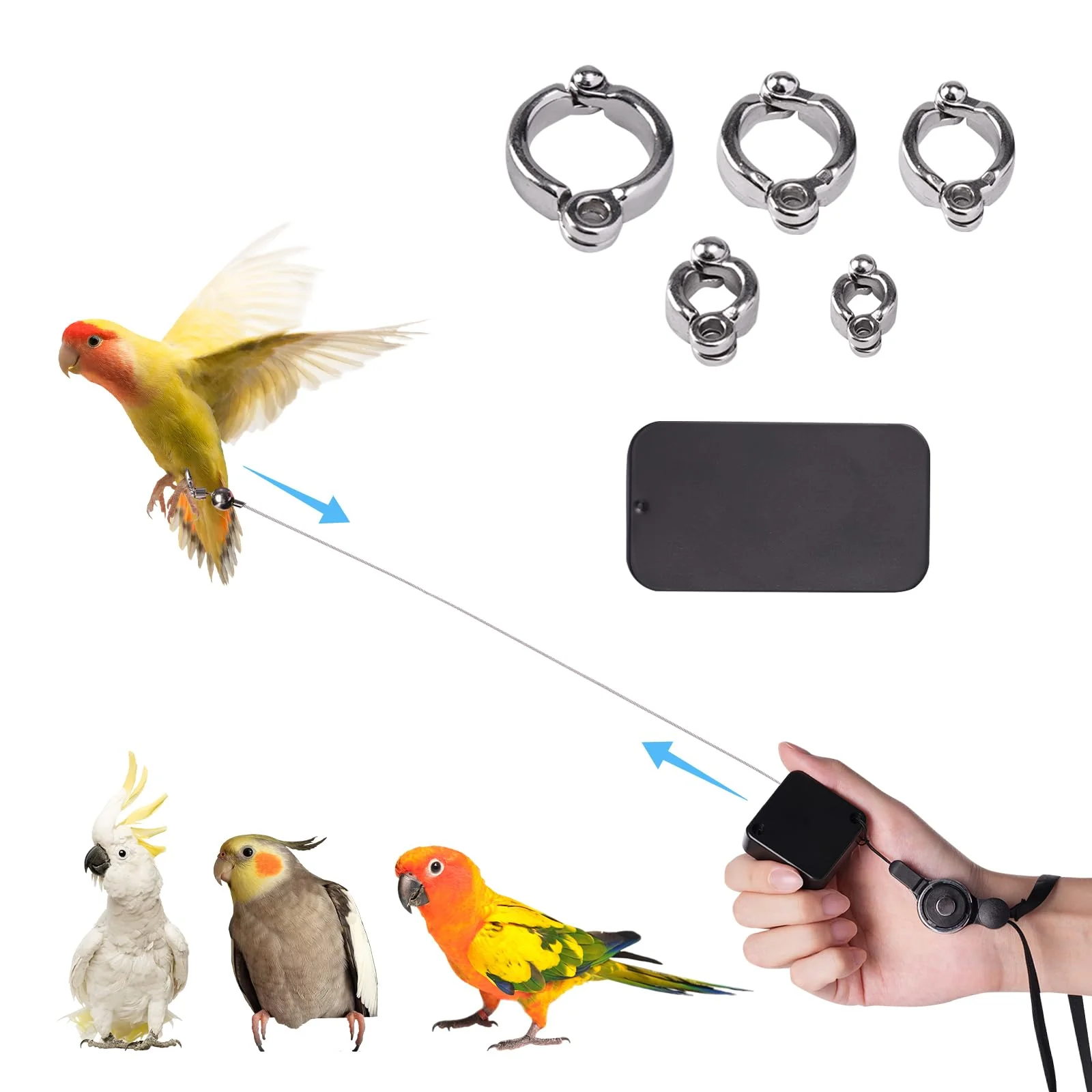 Functional Swirge Retractable Bird Leash with 5 Size Foot Rings Feeder Box – Anti-Bite Harness for Budgies Small Parrots 19.69 ft Next-Generation
