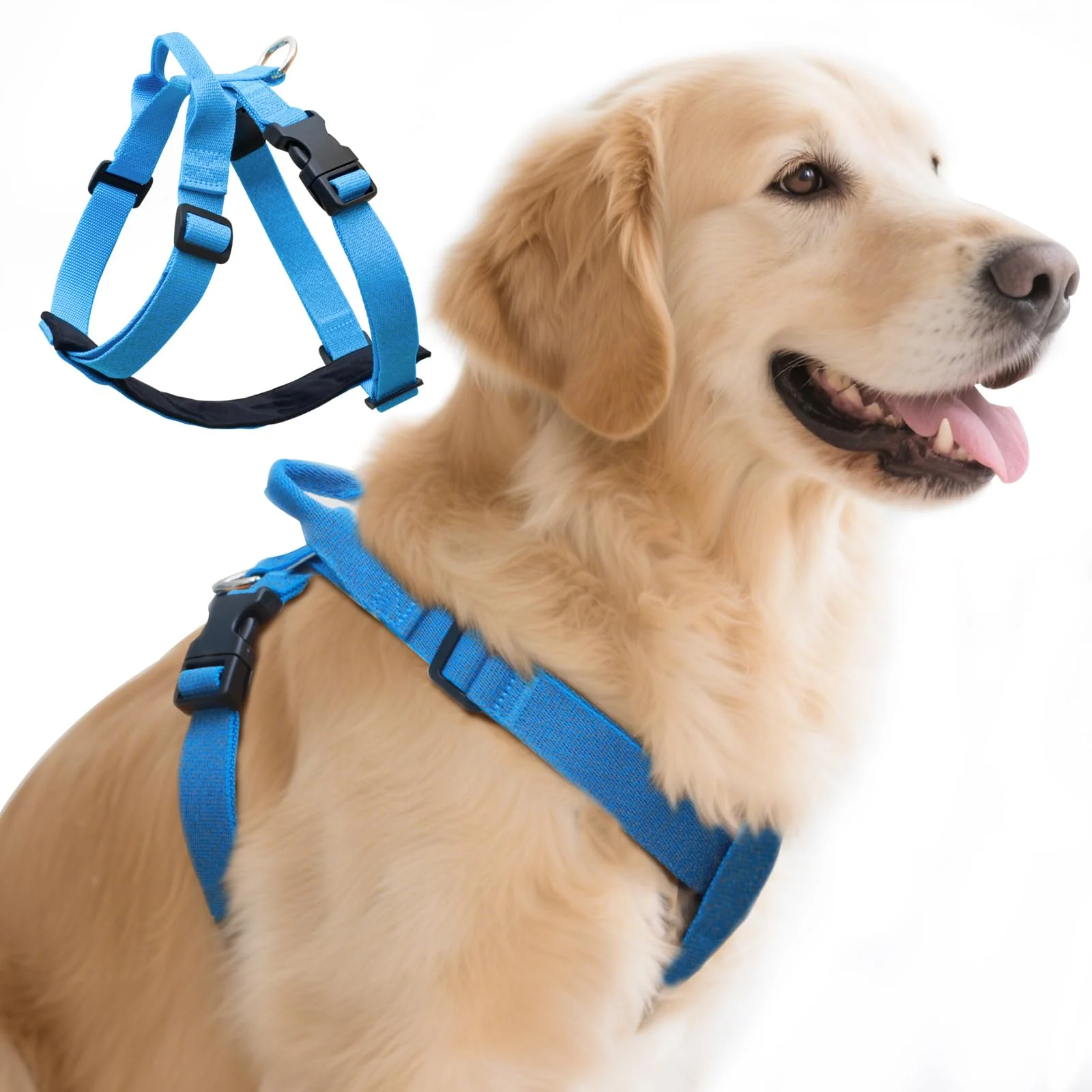 Practical Galaxy Reflective Dog Harness Blue L by JC HOUSE – 4-Point Adjustable Velvet-Lined Anti-Pinch Buckles Relaxed