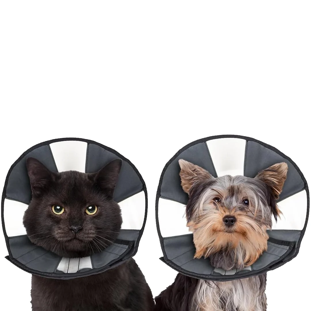 Artisan ZenPet Recovery Cone E-Collar – Soft Adjustable Vet- Small Optimized