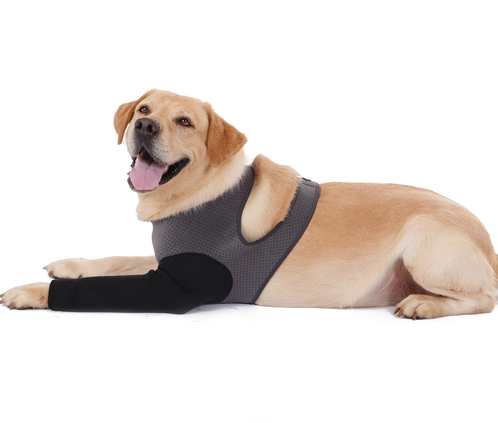 Convenient Cilkus Dog Recovery Sleeve – Front Leg 2.5mm Thick Breathable Washable Abrasion-Resistant Trendy