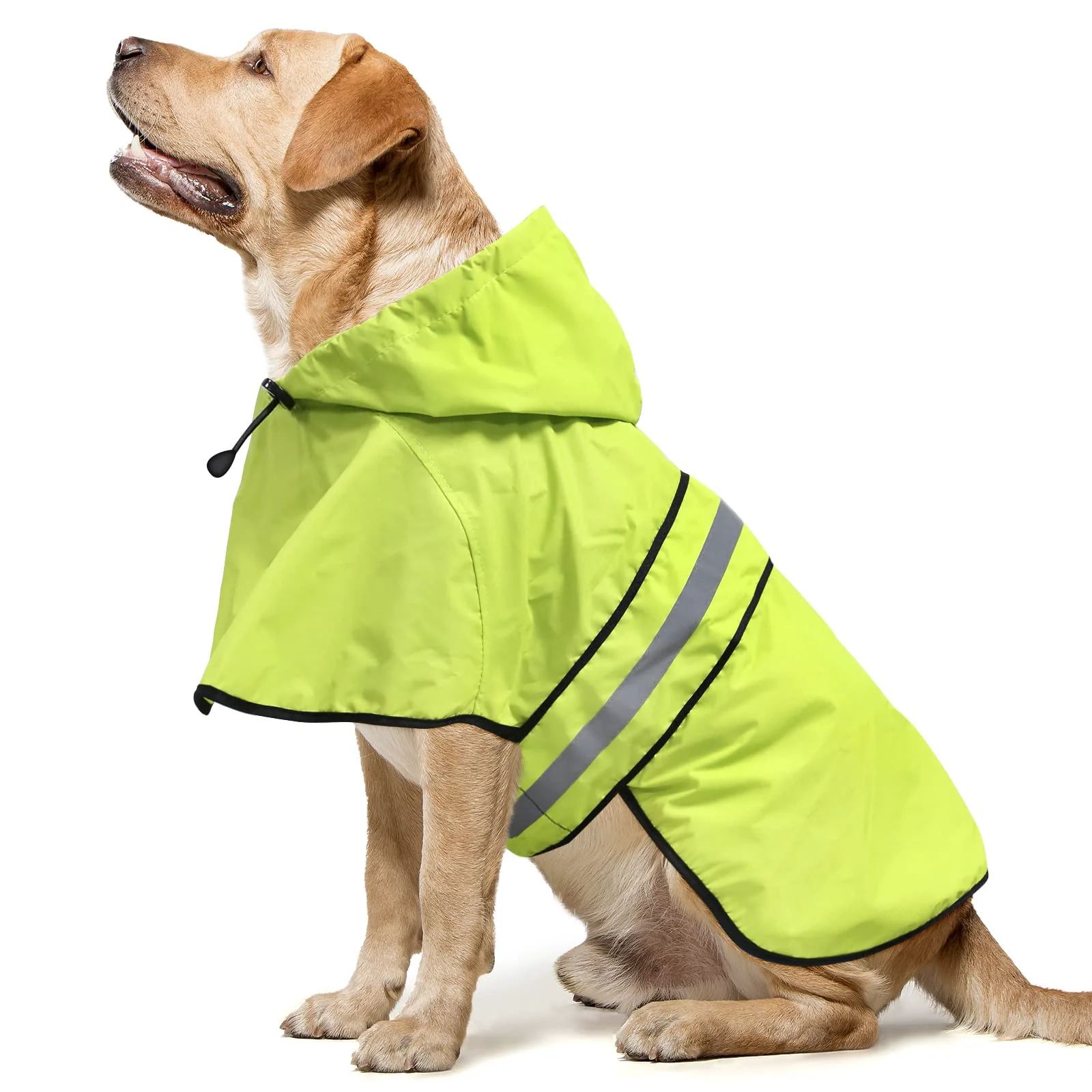 World-Class Domagiker Reflective Dog Raincoat – Waterproof Lightweight Rain Poncho for Night Walks Large Green Exclusive