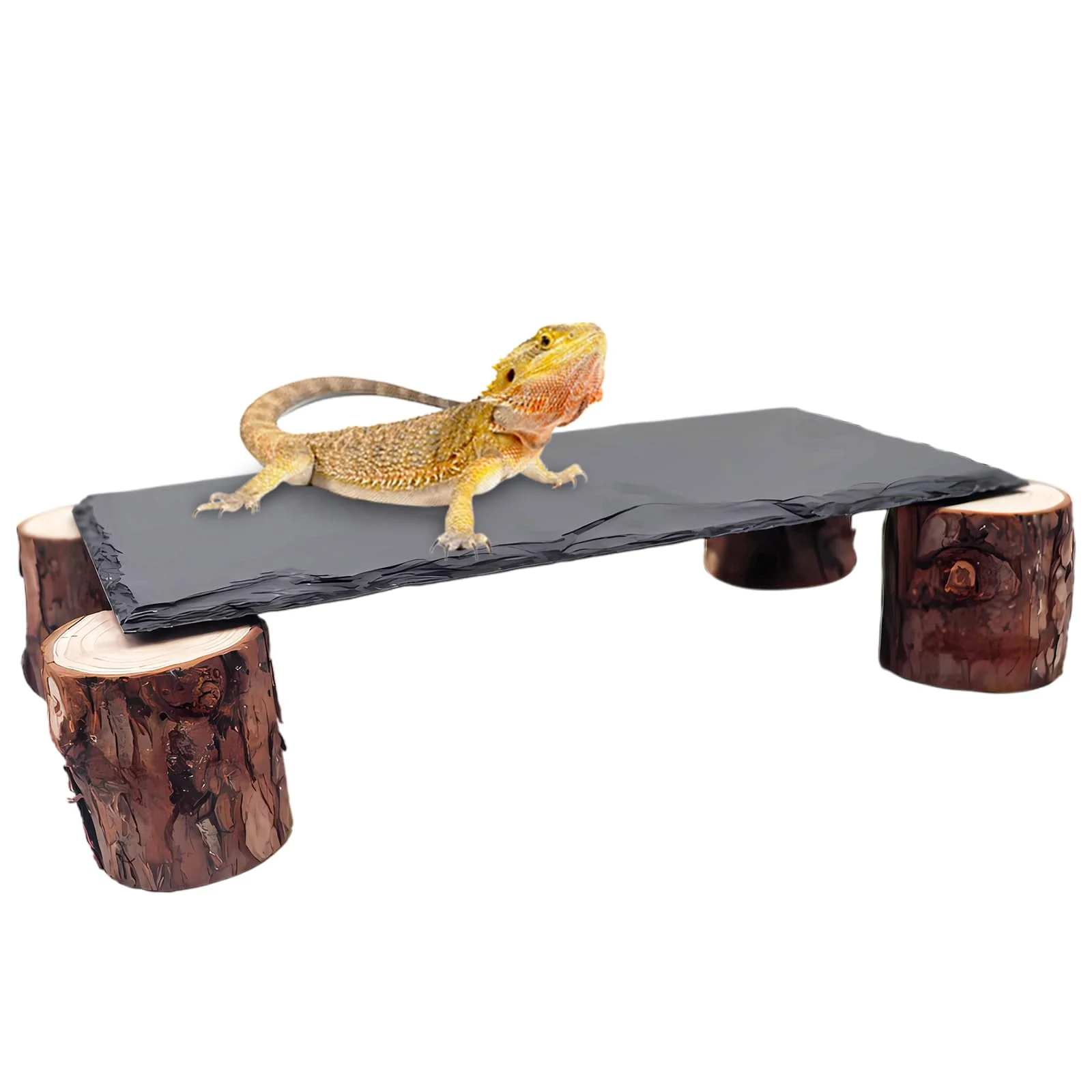 Environmentally Friendly MHLLGN Bearded Dragon Basking Platform with Slate Rocks Hideouts User-Friendly