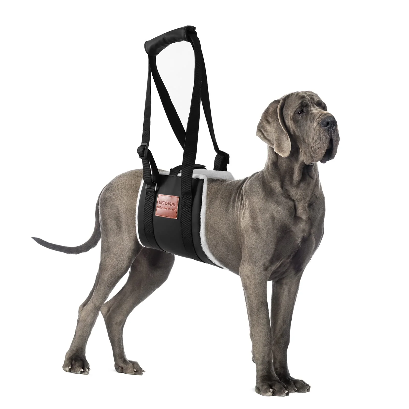 Contemporary S-ETOVUS Dog Sling for Back Legs – Large Dog Lift Harness with Tape Traditional