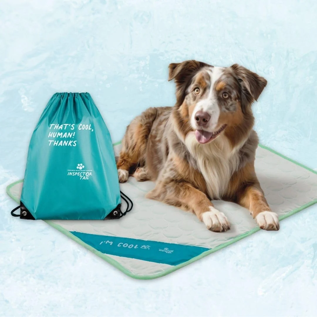 Clean INSPECTOR TAIL 3D ChillPocket Cooling Mat for Dogs – Portable Washable Modern