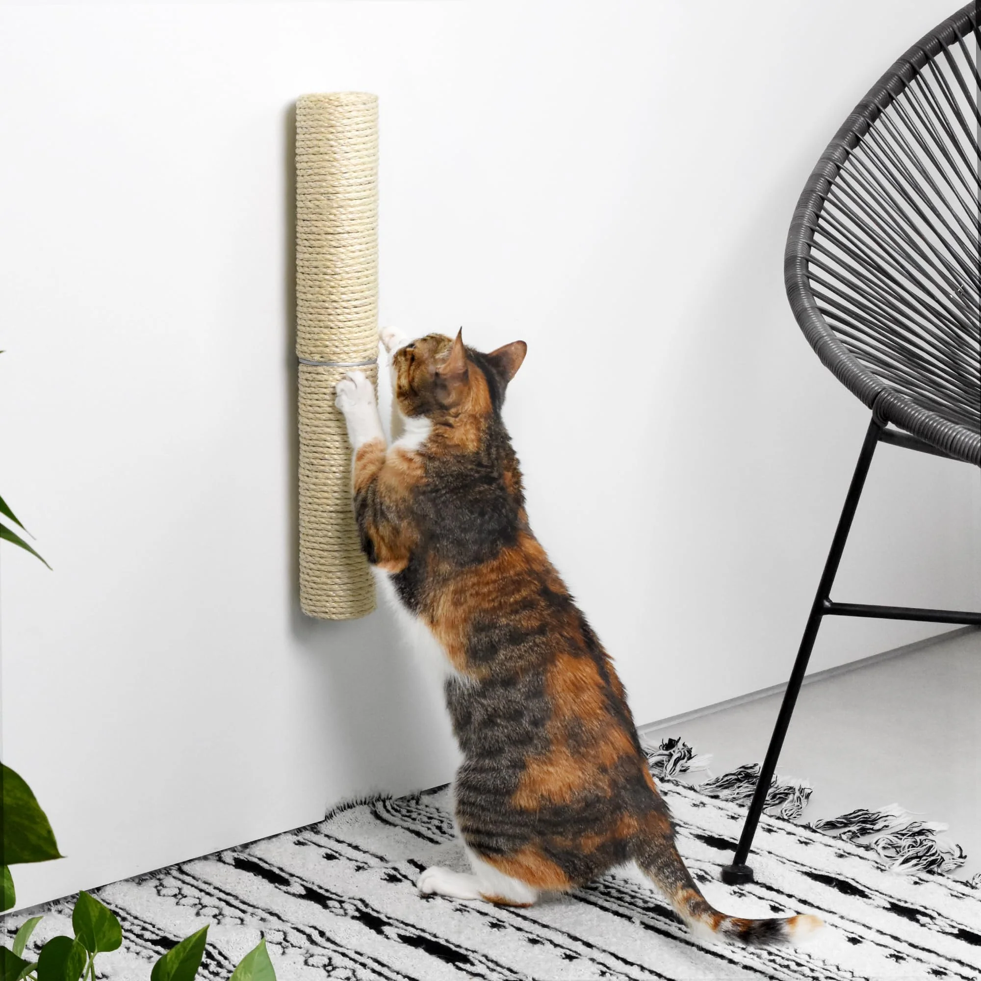 Casual xympo 18in Compact Wall Mounted Cat Scratcher Sisal Scratching Post Verified