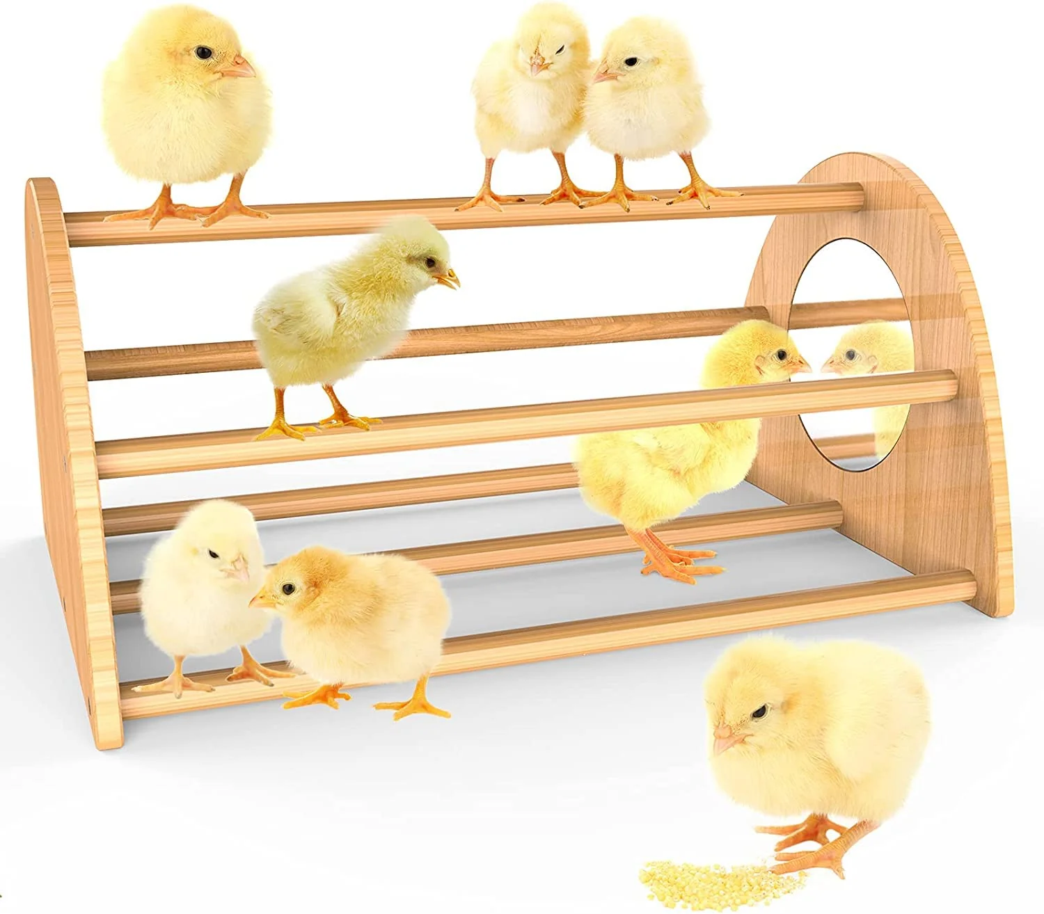 Stylish Ensayeer Bamboo Chicken Perch with Mirror – Strong Roosting Bar for Coop Brooder Large Birds Genuine