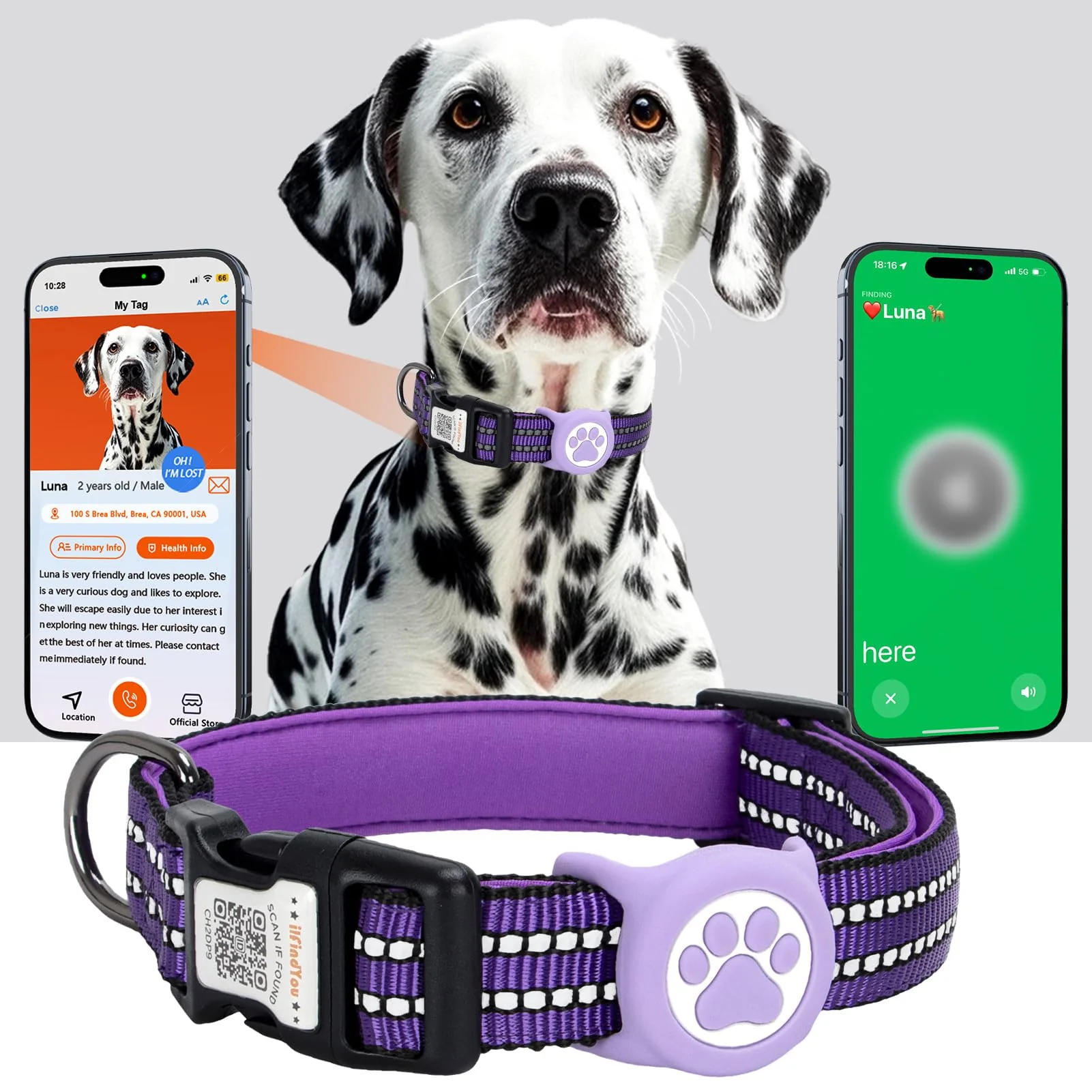 Convenient ilFindYou AirTag Dog Collar for Small Dogs – IP68 Waterproof Reflective Padded QR Tags Purple Small Artisan