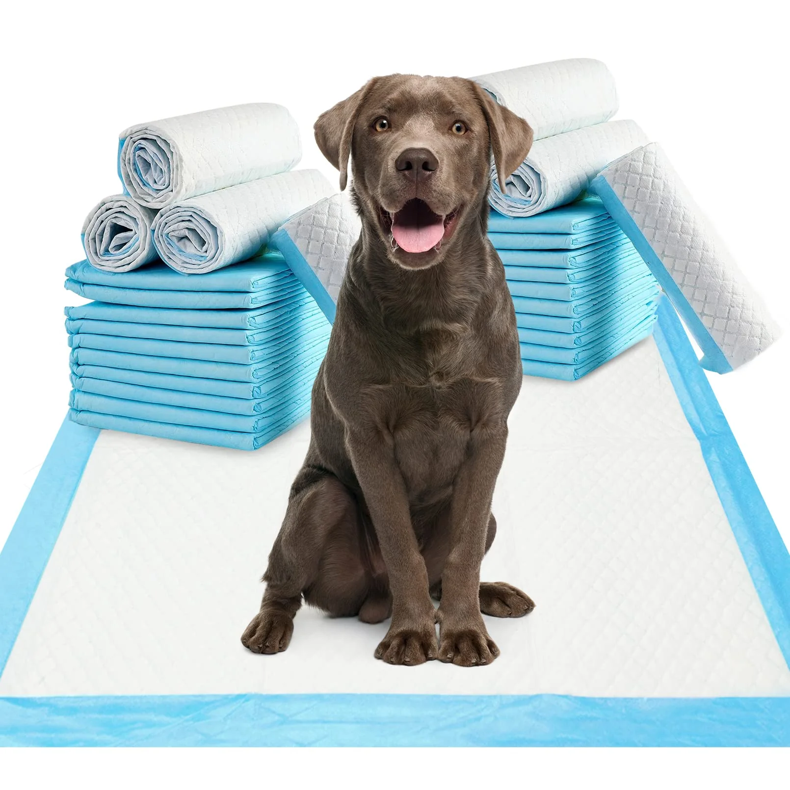 Soft Fhiny Pee Pads for Dogs 24×36 – Extra Large Leak-Proof Quick-Dry Training Pads Exceptional