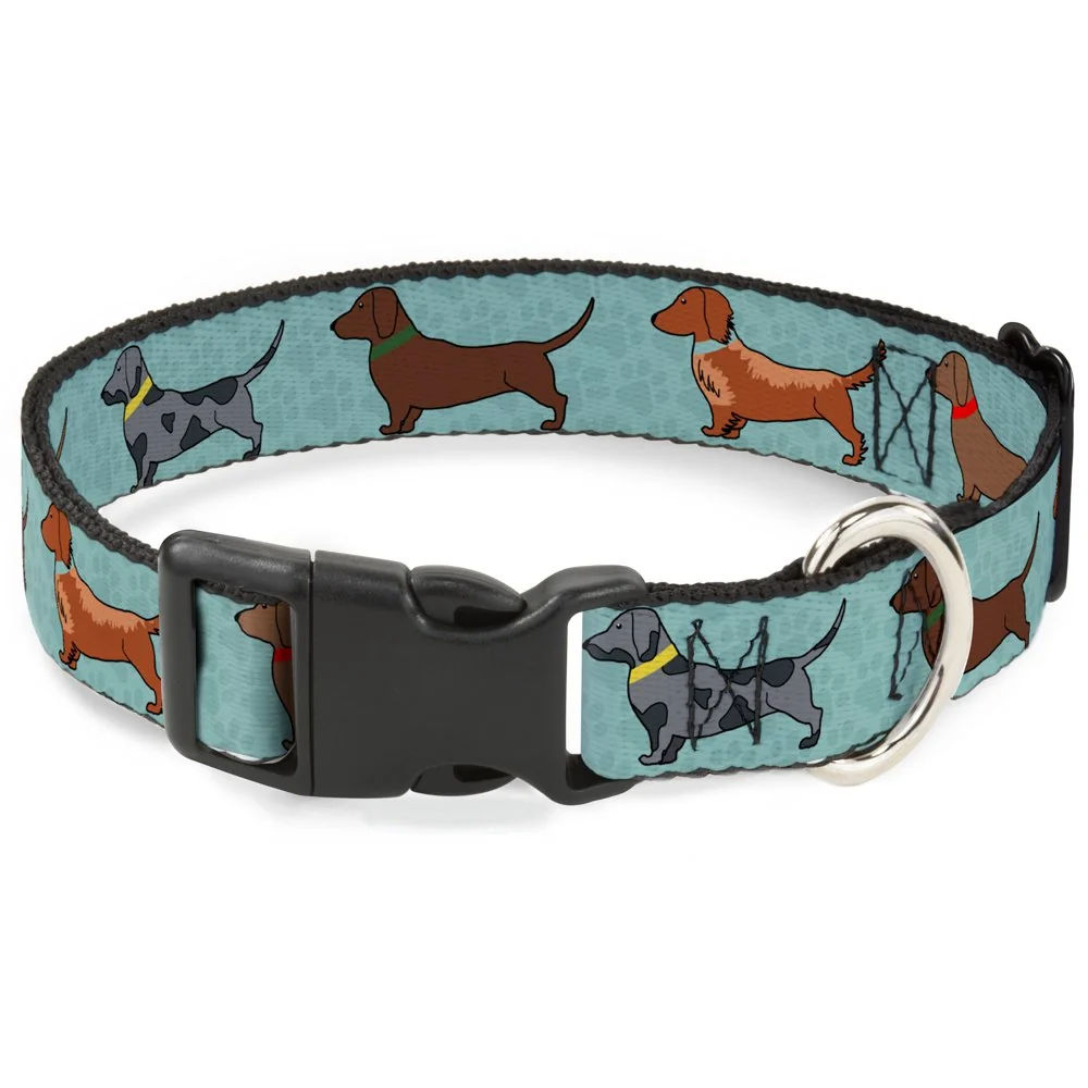 Quality Buckle-Down Dachshund 4-Dogs Paws Aquas Clip Collar – 1 Wide 15–26 Neck Large Organic