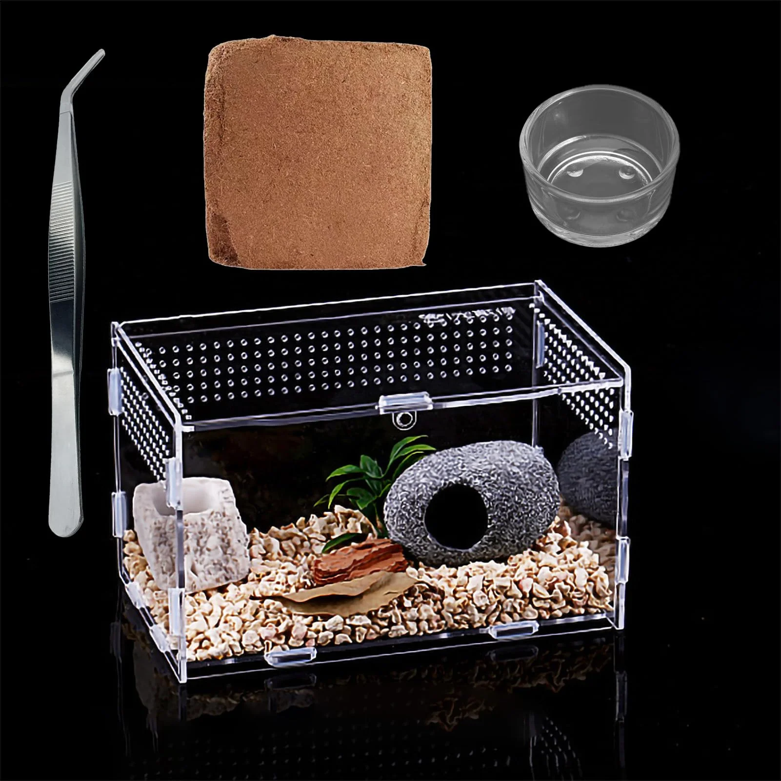 Trendy TREELF Micro Habitat Terrarium Enclosure Kit – 8×4.7×4.7 in Acrylic Reptile Insect Habitat Clean