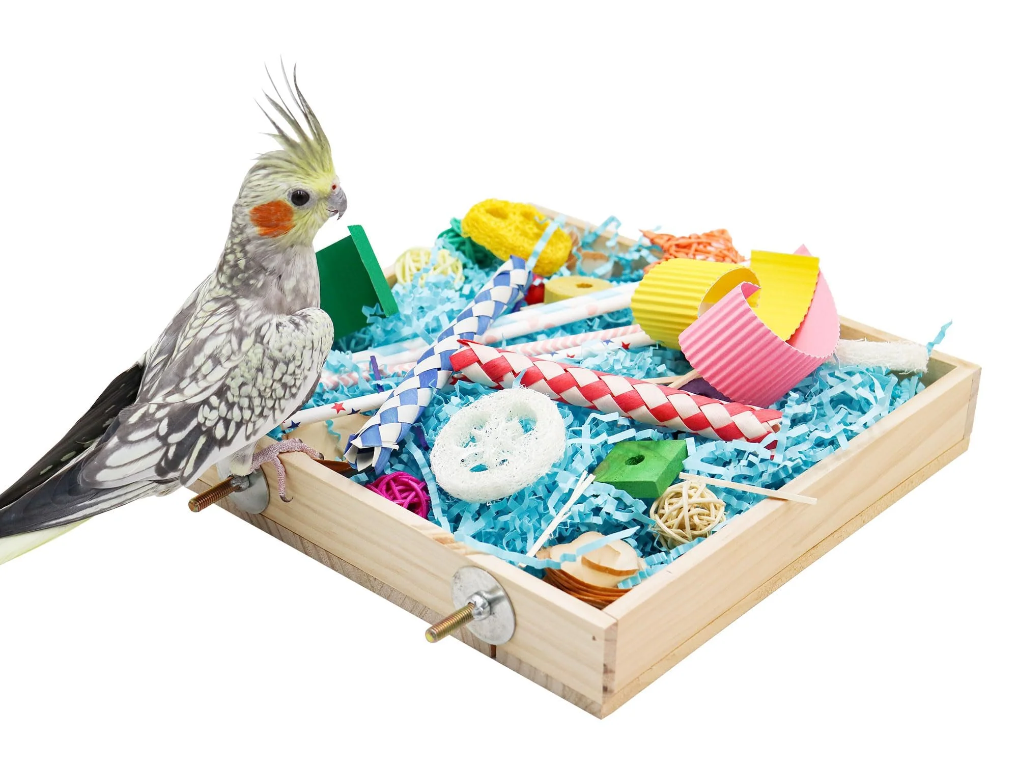 Secure Jinkoozz Bird Foraging Toys Box – Wooden Shredding Toy for Small Birds Exclusive
