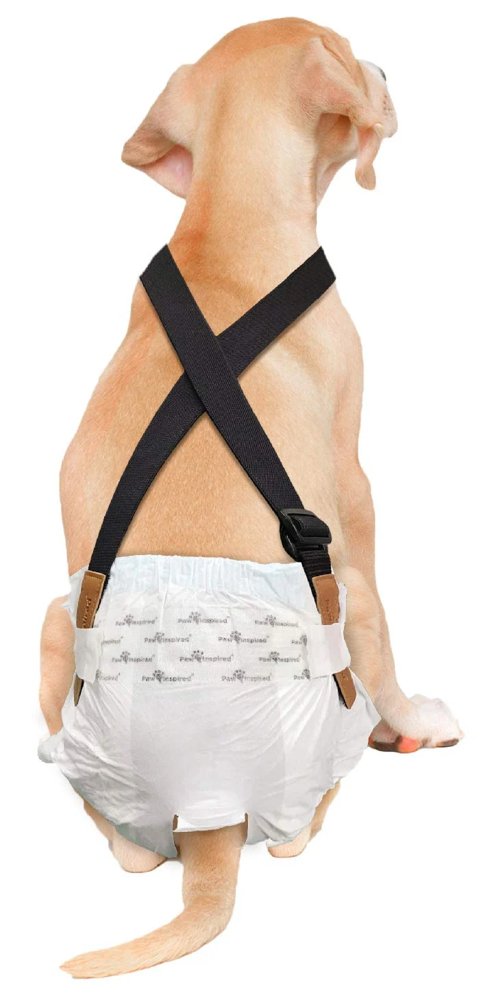 Smart Paw Inspired Dog Diaper Suspenders with Velcro Fasteners Adjustable S M Black Premium Material