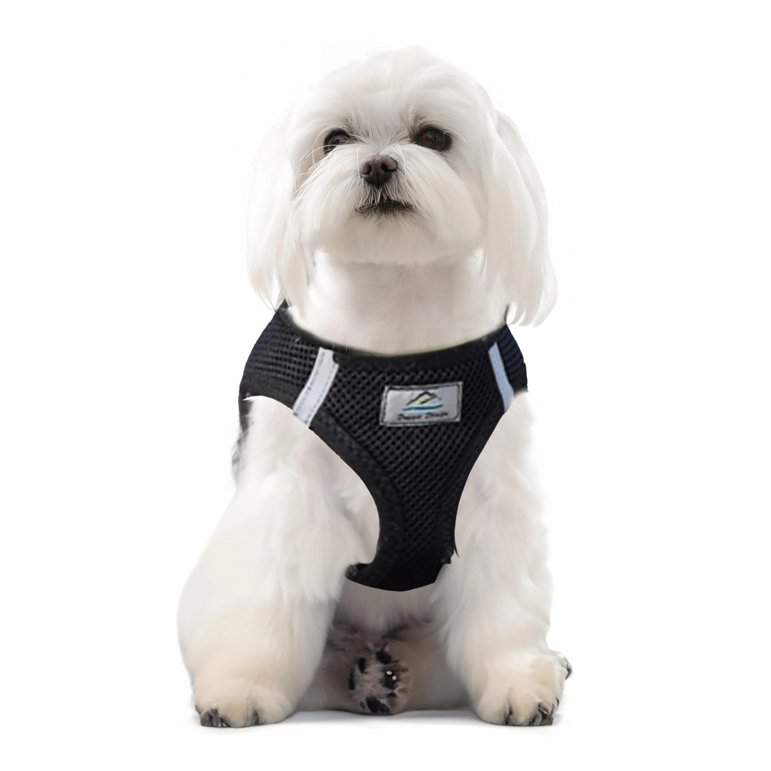 Exclusive Doggie Design American River Ultra Choke- Harness – Reflective Step-In Black Small Authentic