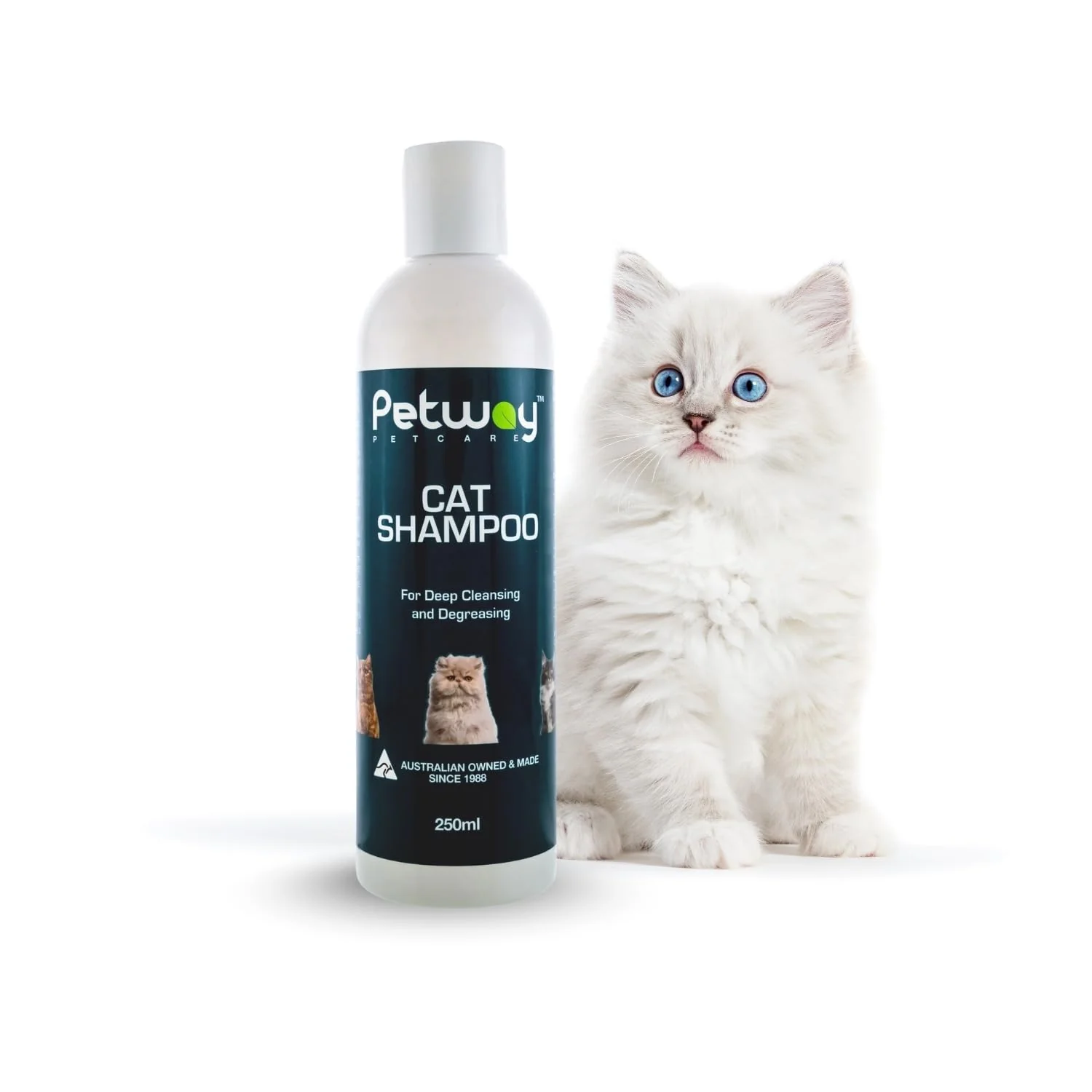 Petway Petcare Cat Shampoo – Deep Cleanse Anti-Dandruff pH Balanced Cruelty 8.5 fl oz Original Design