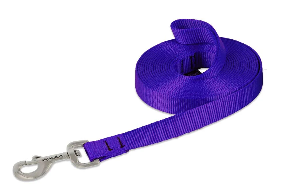 Premium Material LupinePet Basics 15ft Purple 3 4in Training Lead for Medium Large Dogs Sustainable