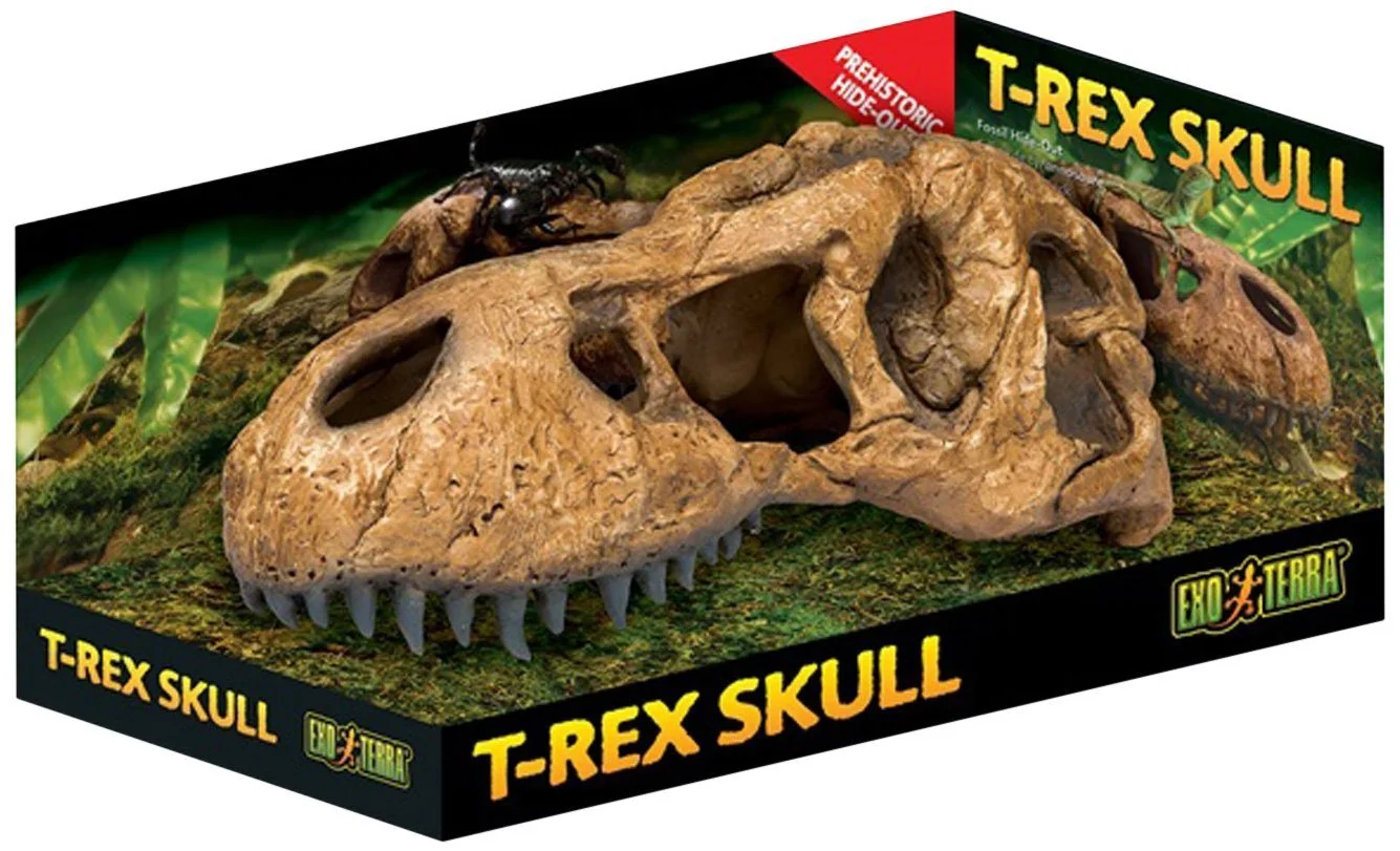 Dependable Exo Terra T-Rex Skull Terrarium Decor — istic Fossil Hide-Out for Reptiles Quality