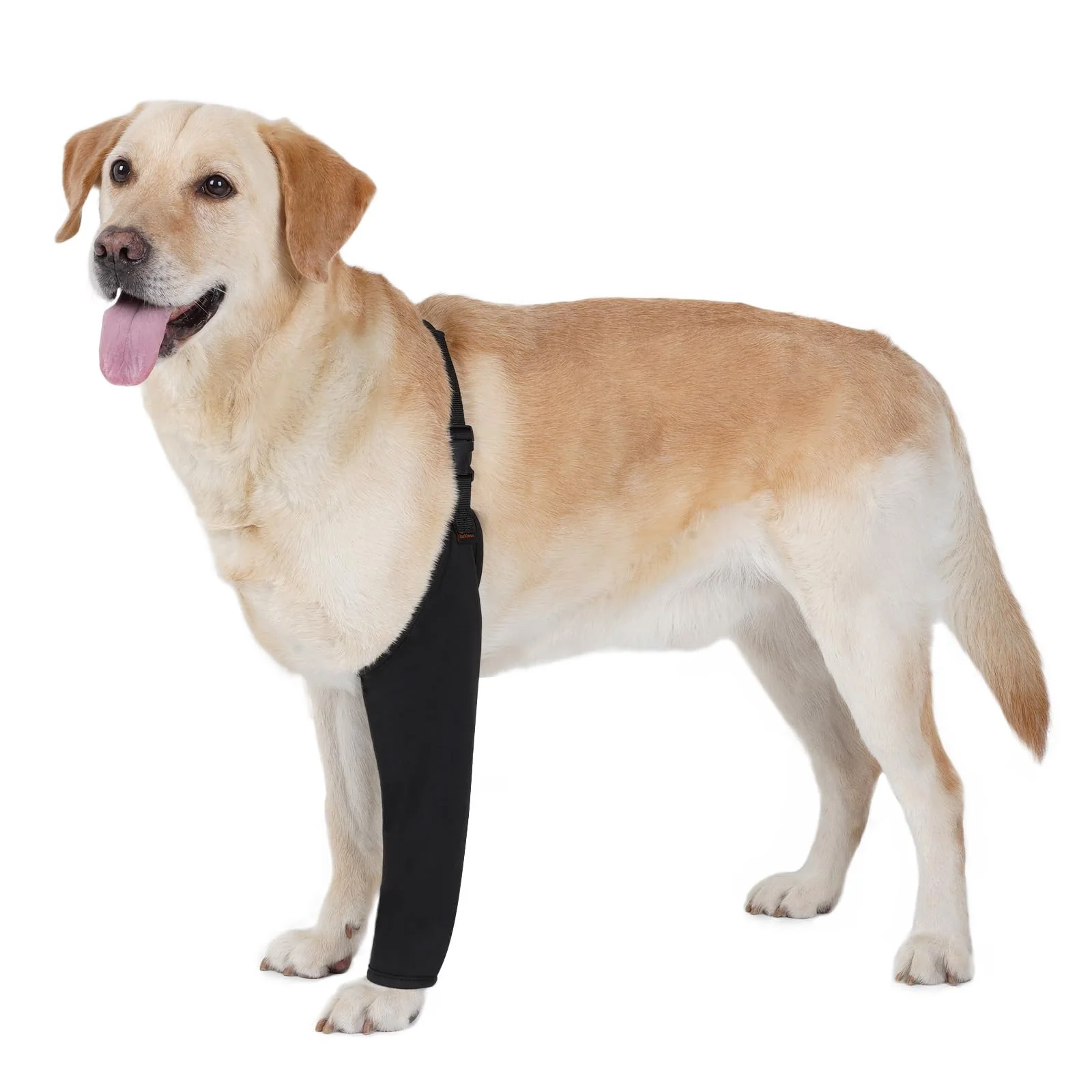 Exceptional BARKLESS Dog Recovery Suit for Front Leg – Breathable Post-Surgery Sleeve Left Right Cone Black L Flexible