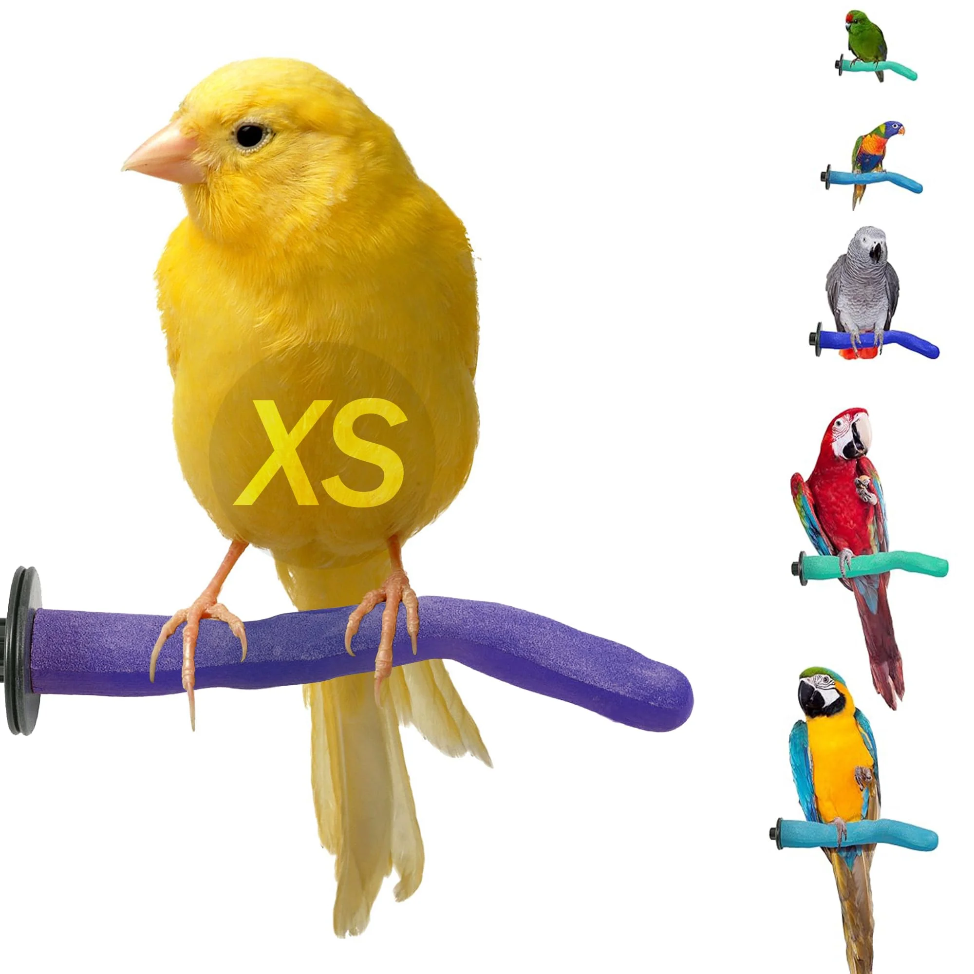 Powerful Sweet Feet Beak Safety Pumice Perch XS Purple 1 2in x 6in — Lightweight Perch for Gentle Nail Beak Grooming Innovative