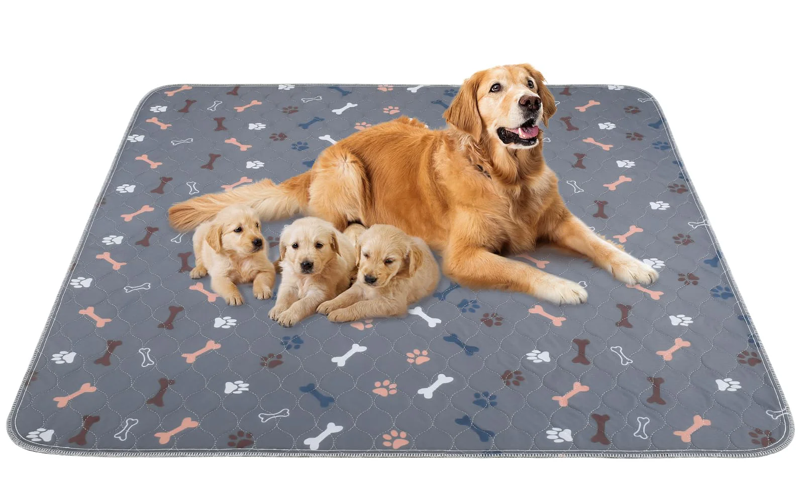 Consistent Baodan Washable Puppy Pads 31×36 – Reusable Non-Slip 2-Pack for Potty Training Minimalist