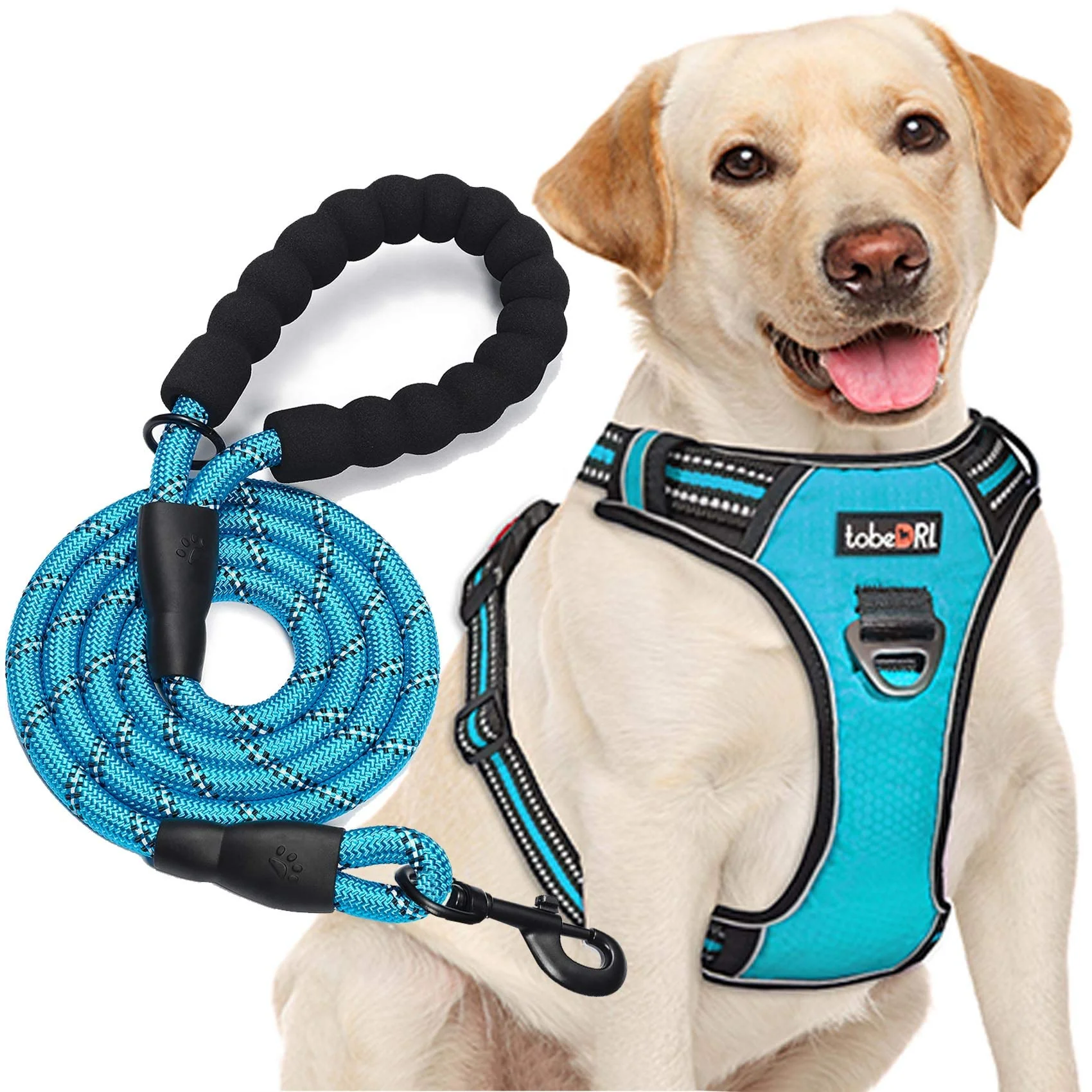 Expertly Made tobeDRI No Pull Dog Harness with Front Back Rings – Reflective Oxford Harness 5ft Leash Blue L Crafted